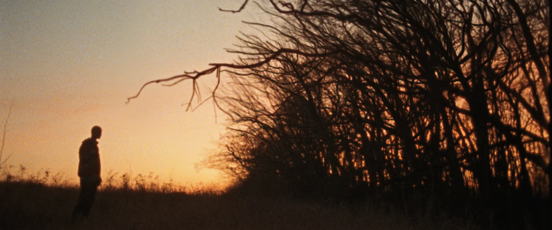 Director: Doug Bernardt @ Stink 2021 Portuguese Society of Cinematographers Award Winner