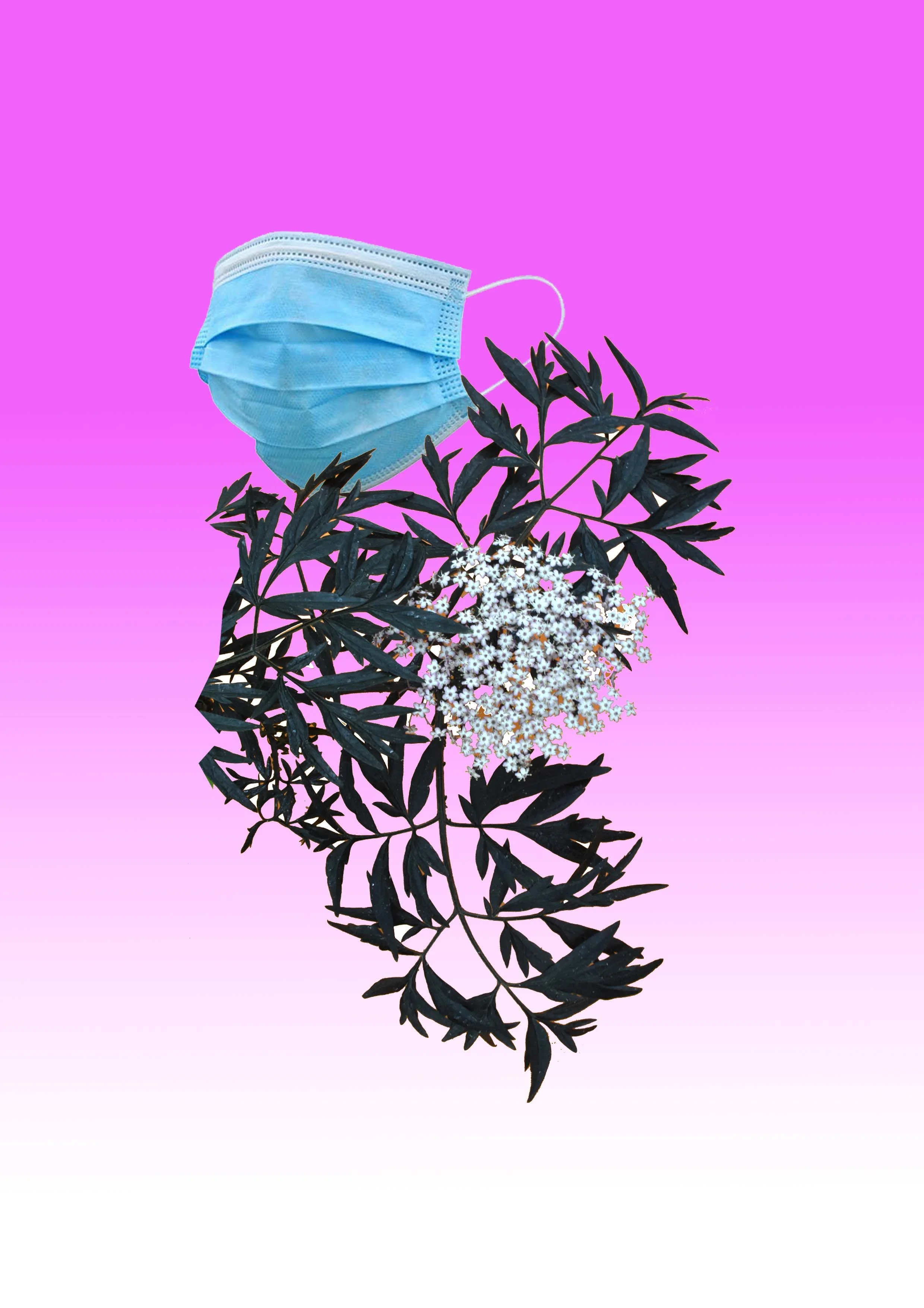 Mask no text.jpg