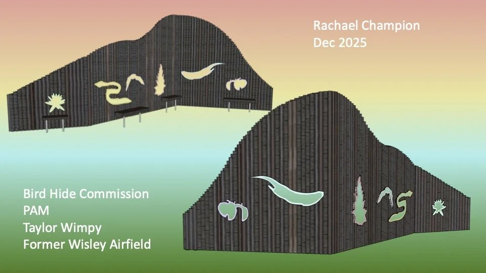 Rachael Champion, Bird Hide Presentation (dragged).jpg