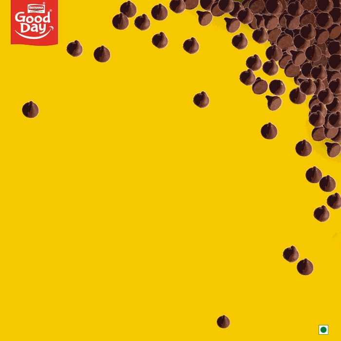Chocochip_Magnet.gif