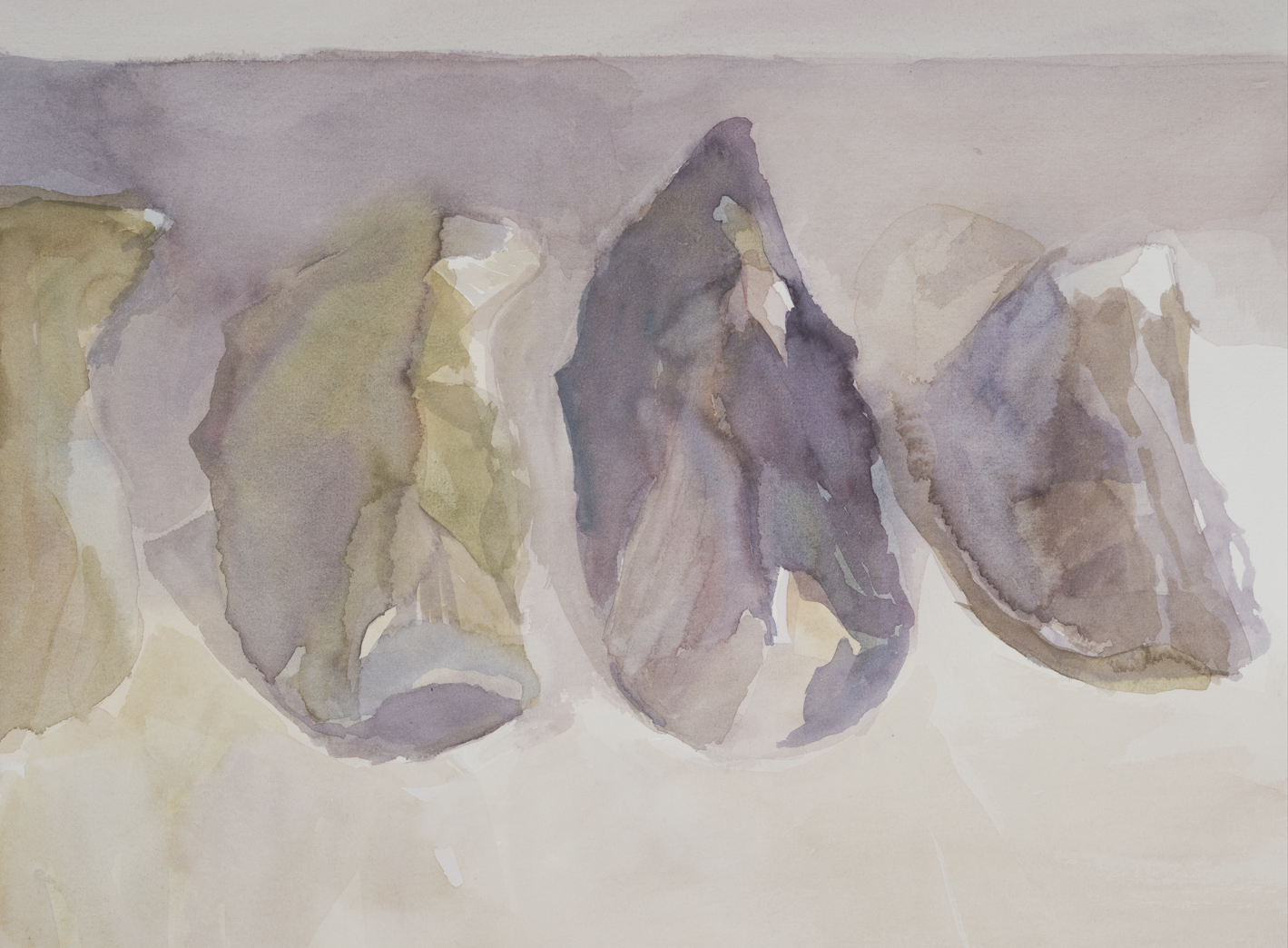 Capture d'écran 2026-01-27 175141.png