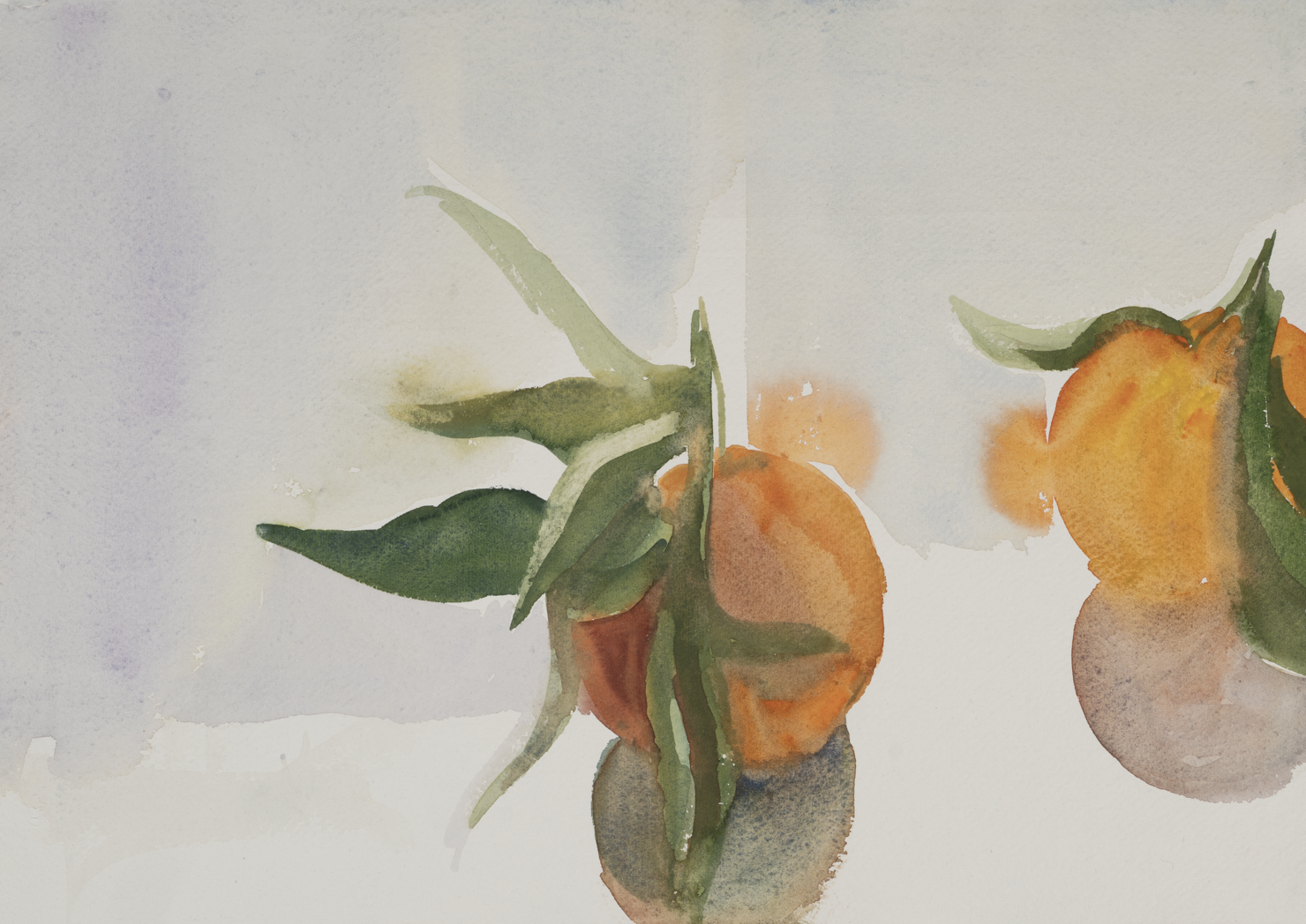 Capture d'écran 2026-01-27 175245.png