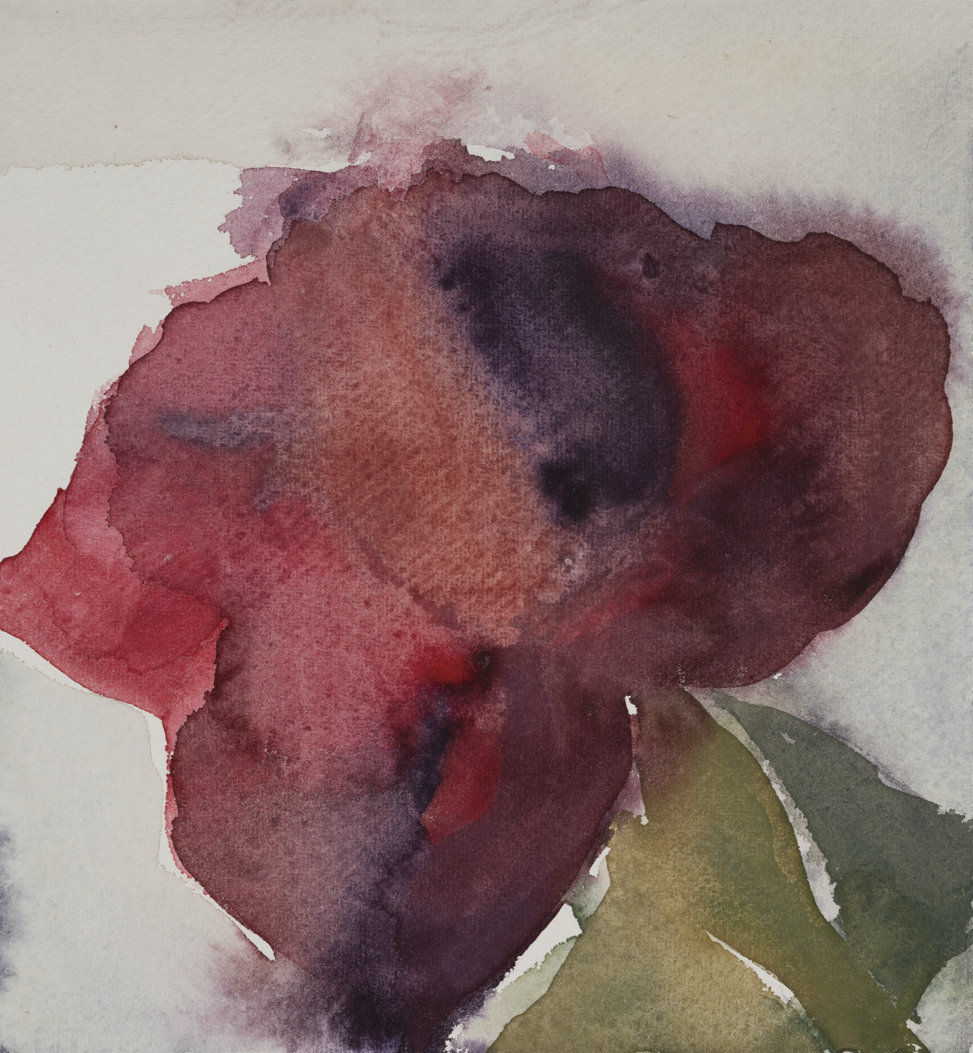 Capture d'écran 2026-01-27 175341.png