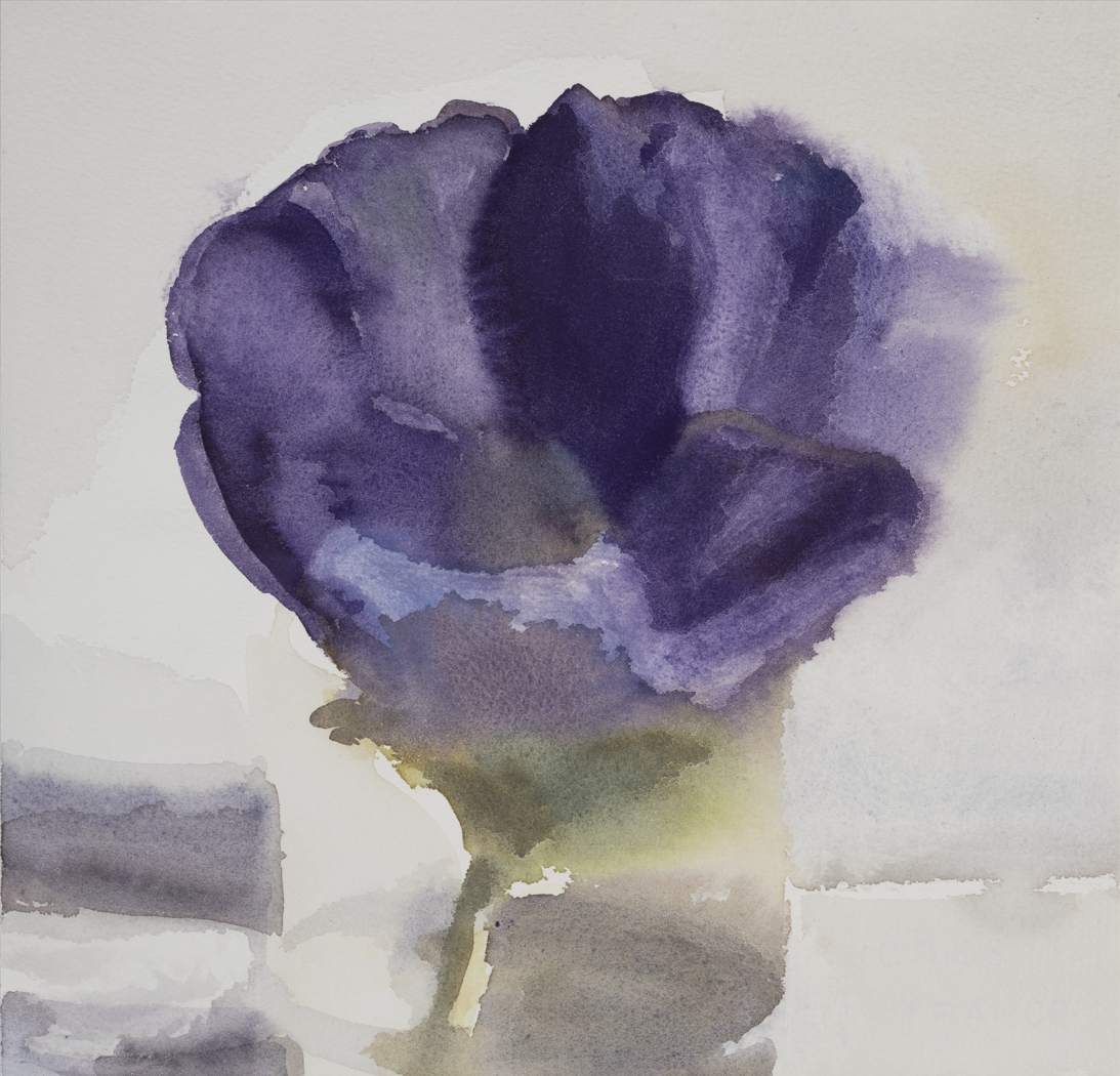 Capture d'écran 2026-01-27 175415.png