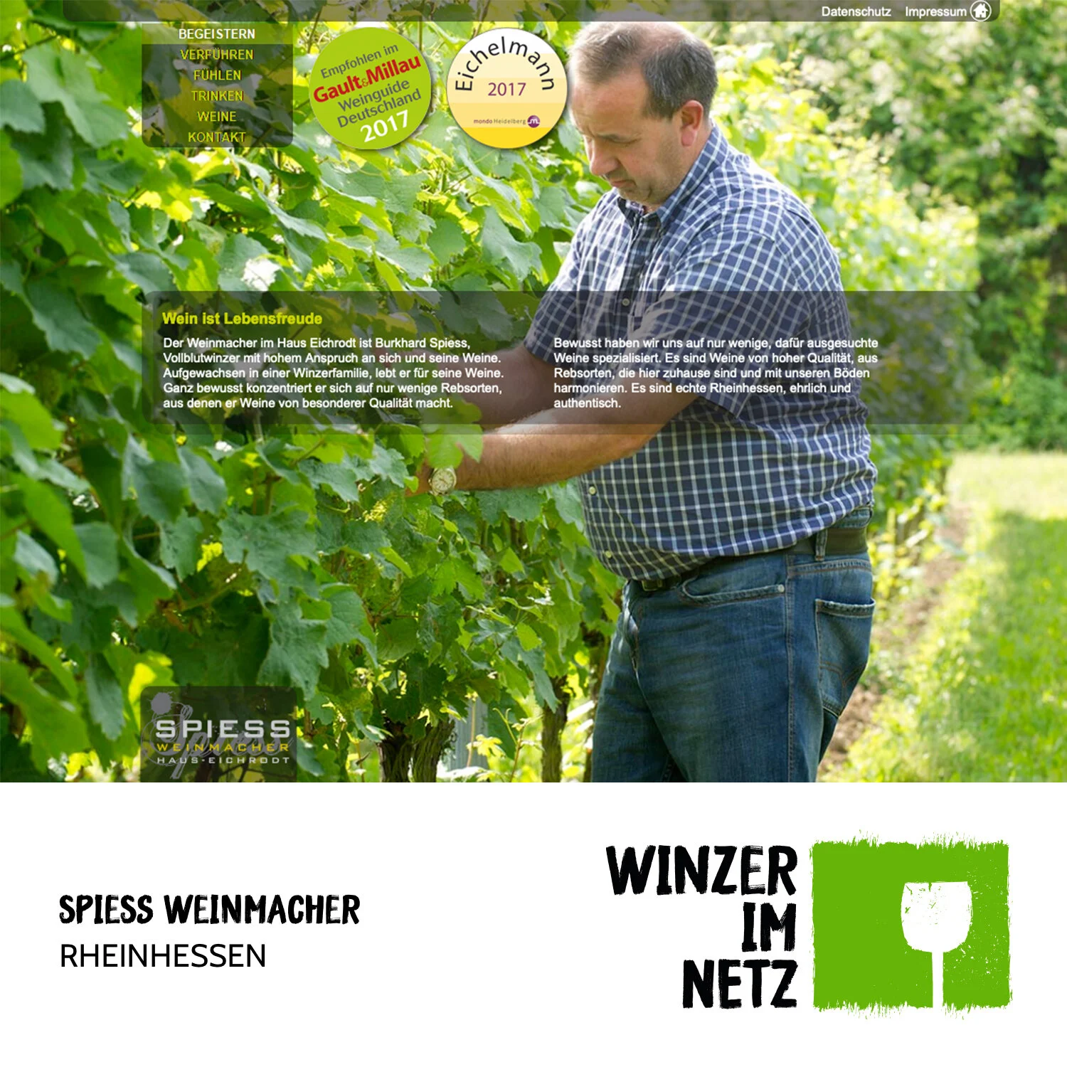 WIN_Social-Media-Spiess-Weinmacher.jpg