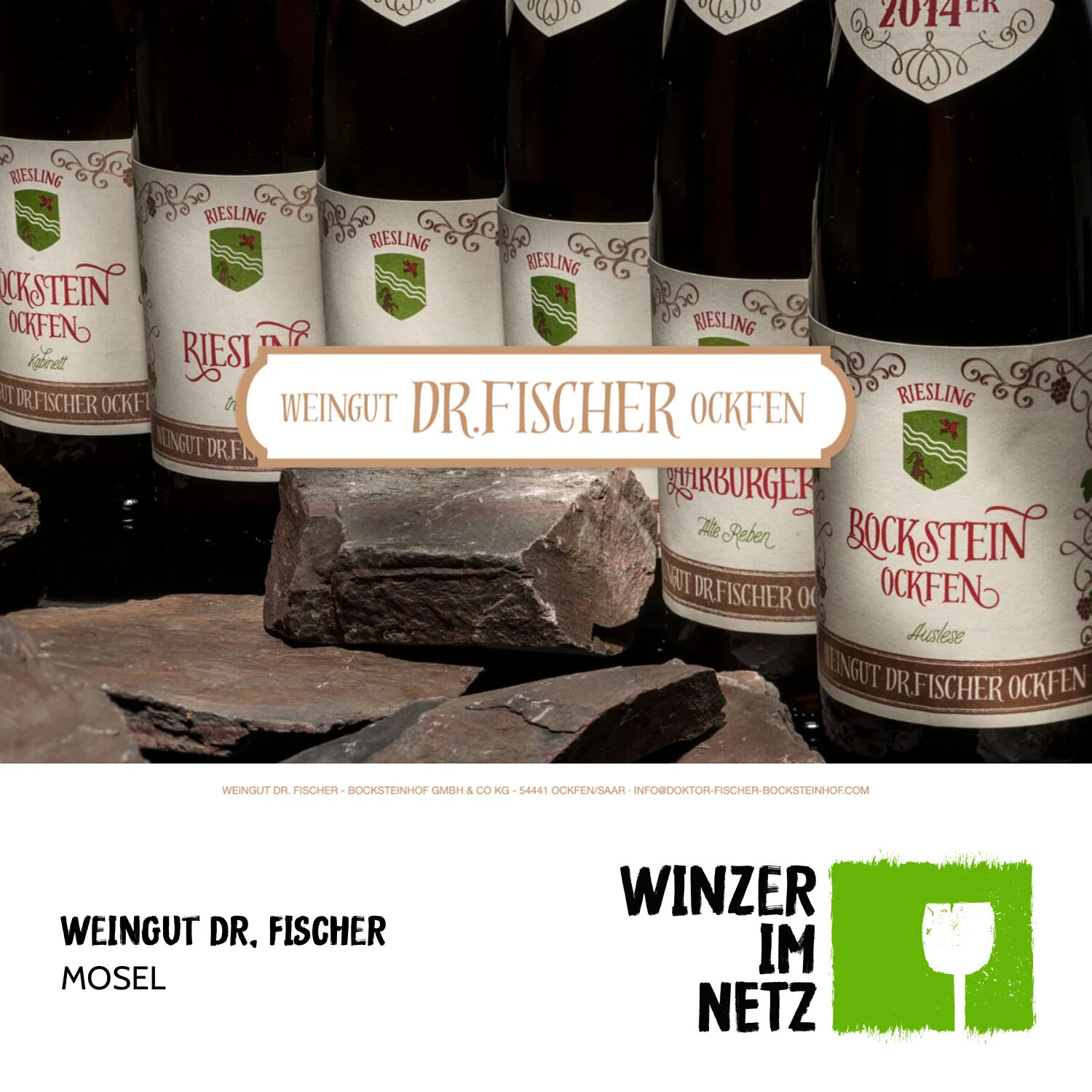 WIN_Social-Media-Dr.-Fischer.jpg