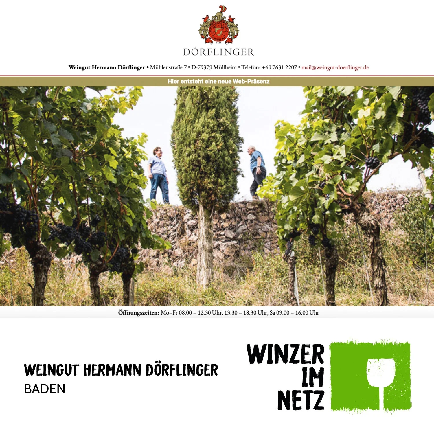 WIN_Social-Media-Hermann-Doerflinger.jpg