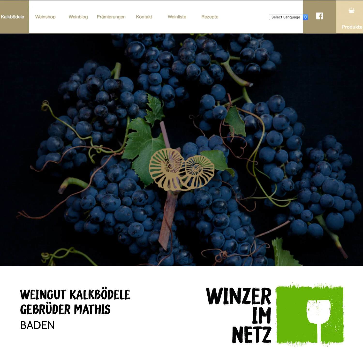 WIN_Social-Media-Kalkboedele.jpg