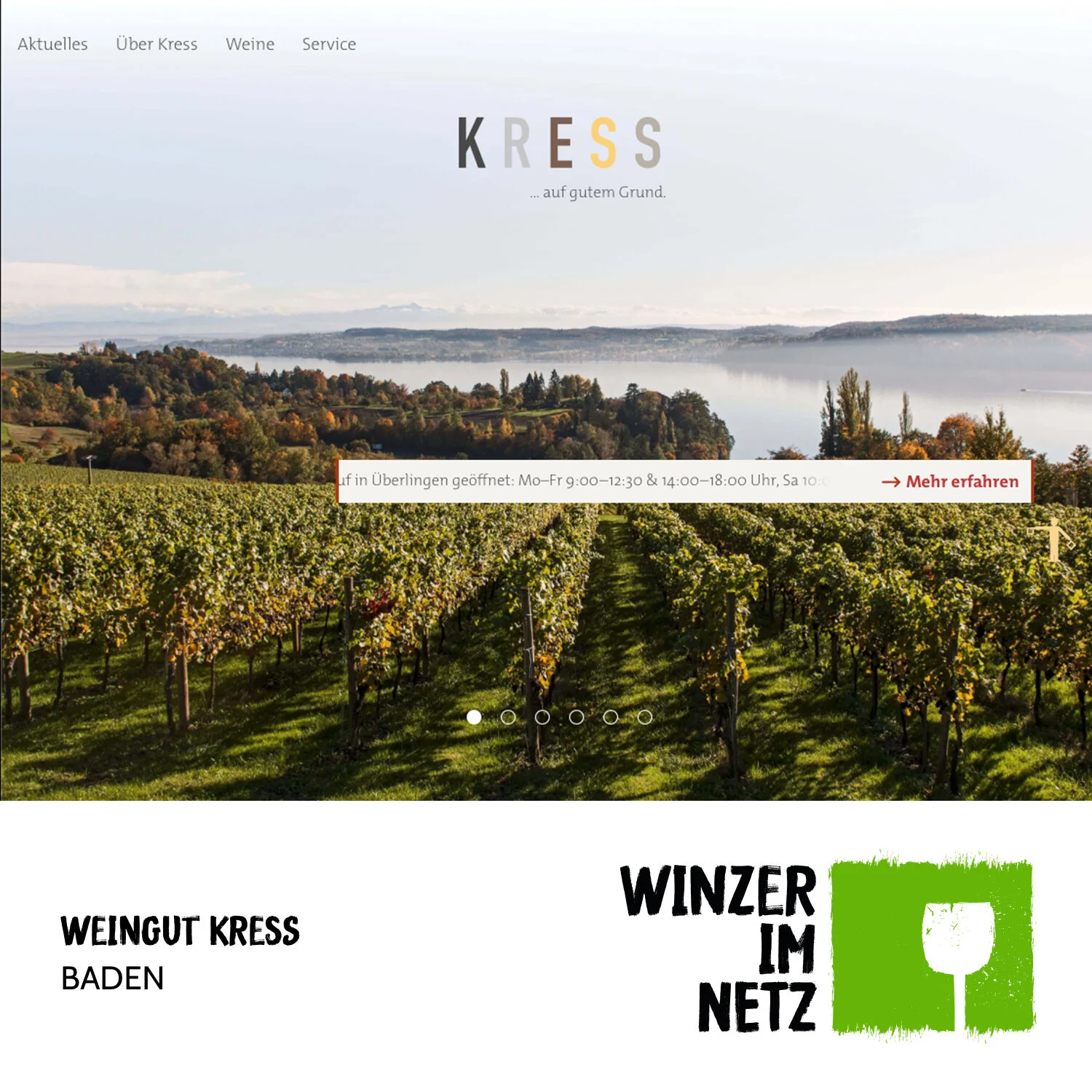 WIN_Social-Media-Kress.jpg