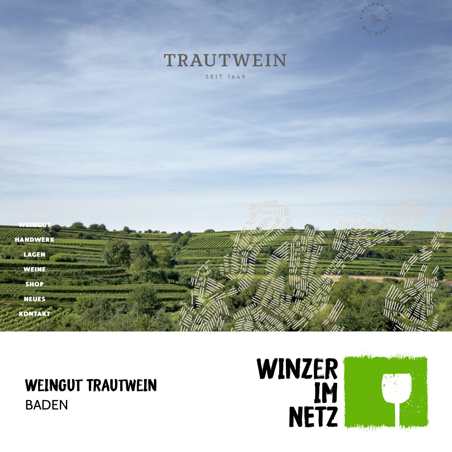 WIN_Social-Media-Trautwein.jpg