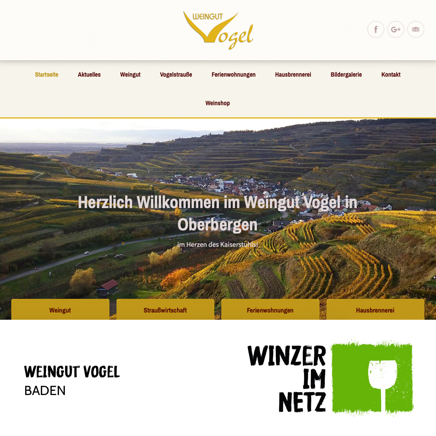 WIN_Social-Media-Vogel.jpg
