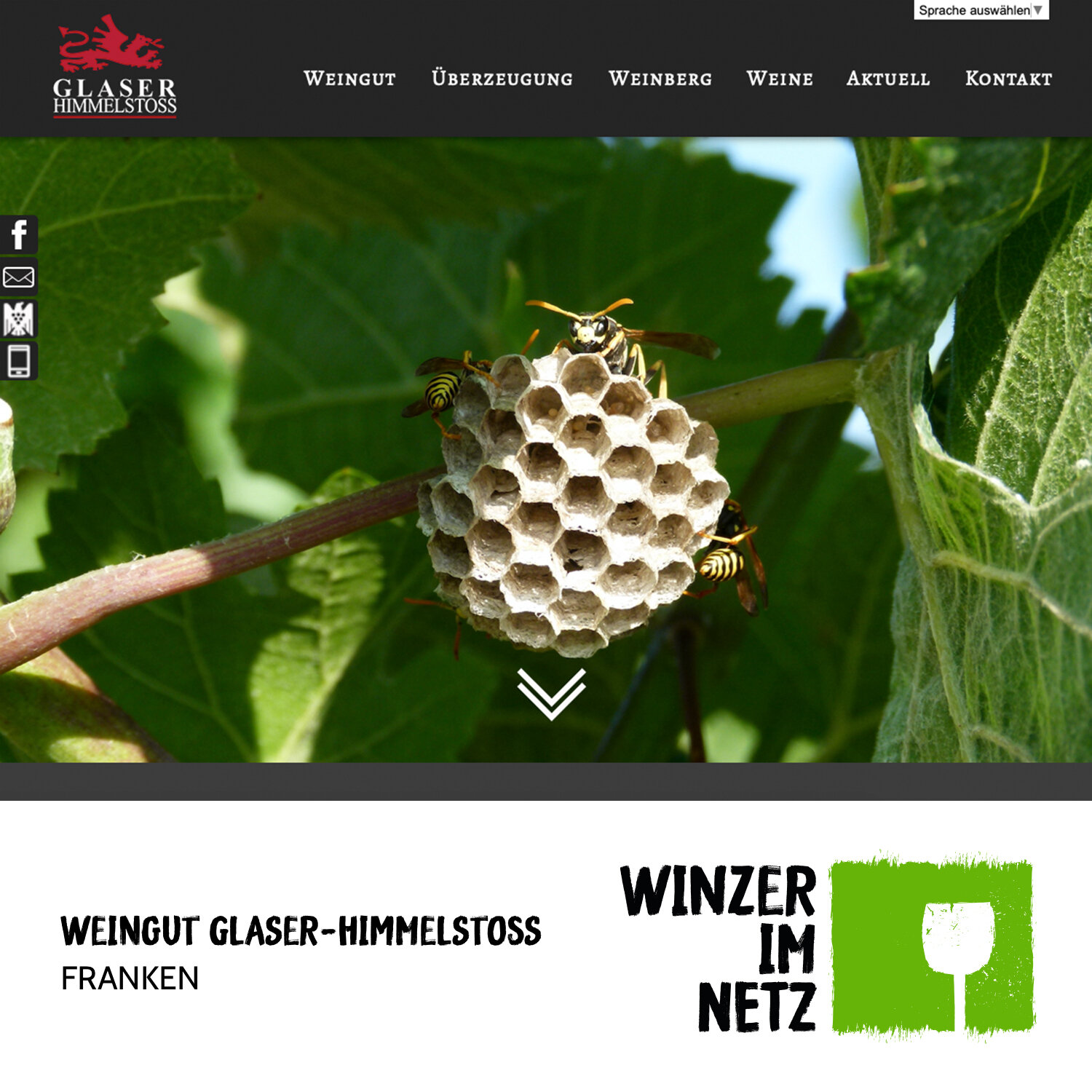 WIN_Social-Media-Glaser-Himmelstoss.jpg