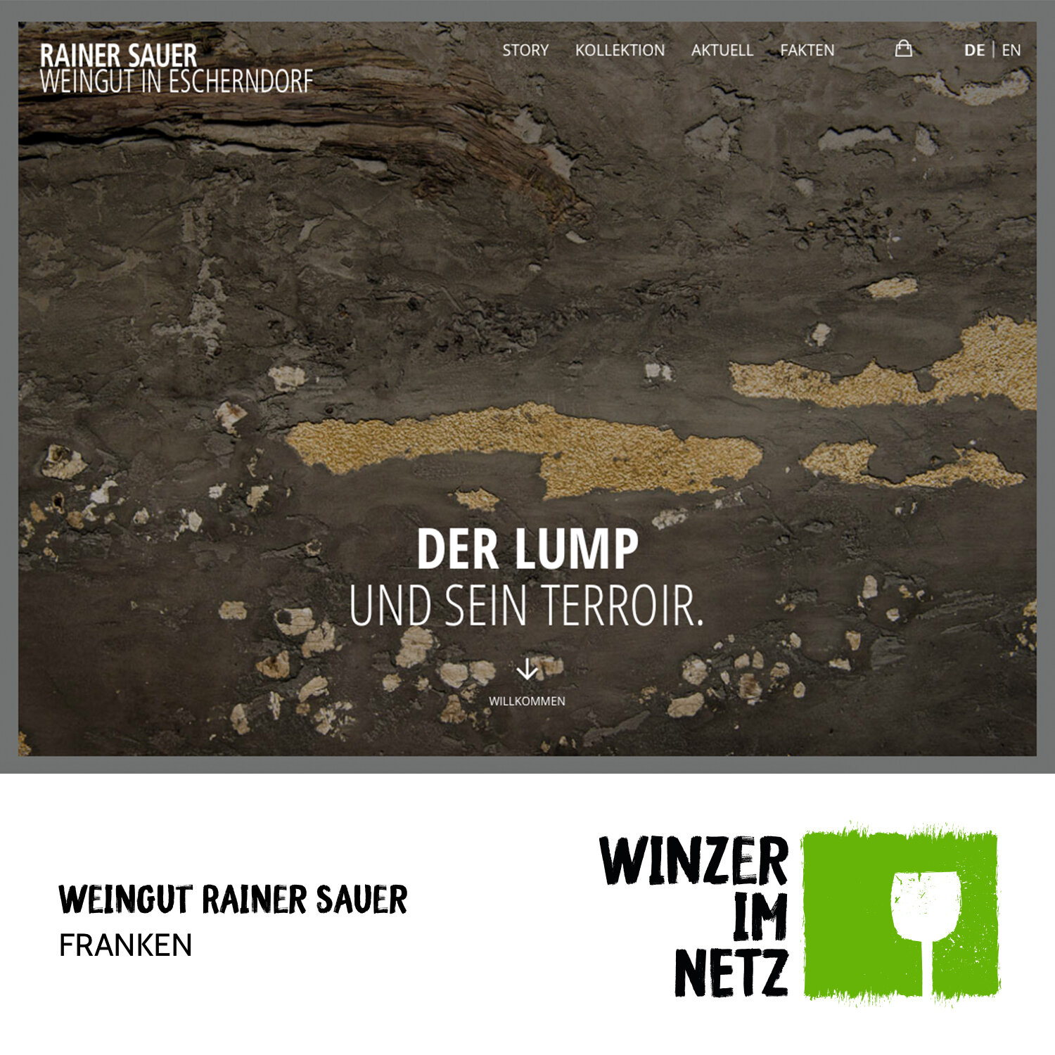 WIN_Social-Media-Rainer-Sauer.jpg