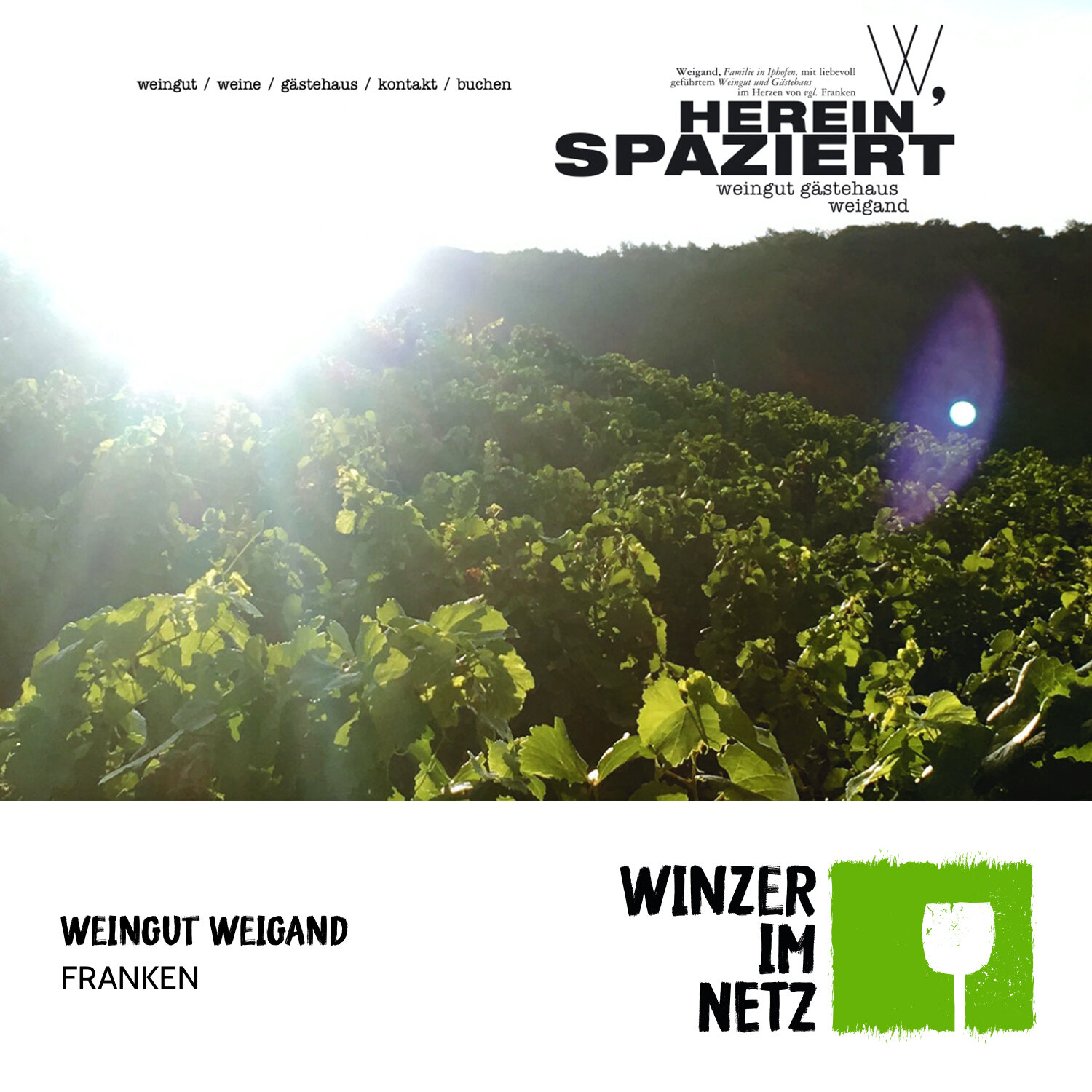WIN_Social-Media-Weigand.jpg