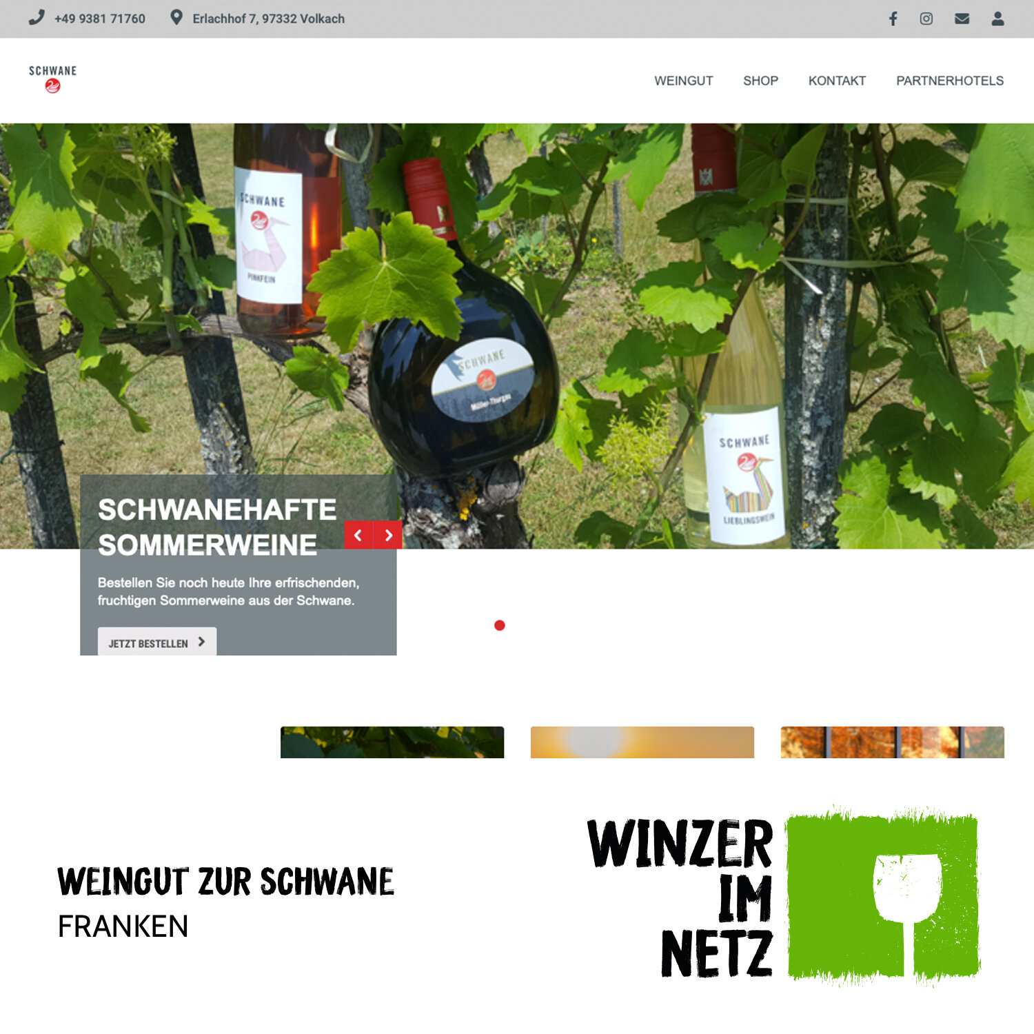 WIN_Social-Media-zur-Schwane.jpg