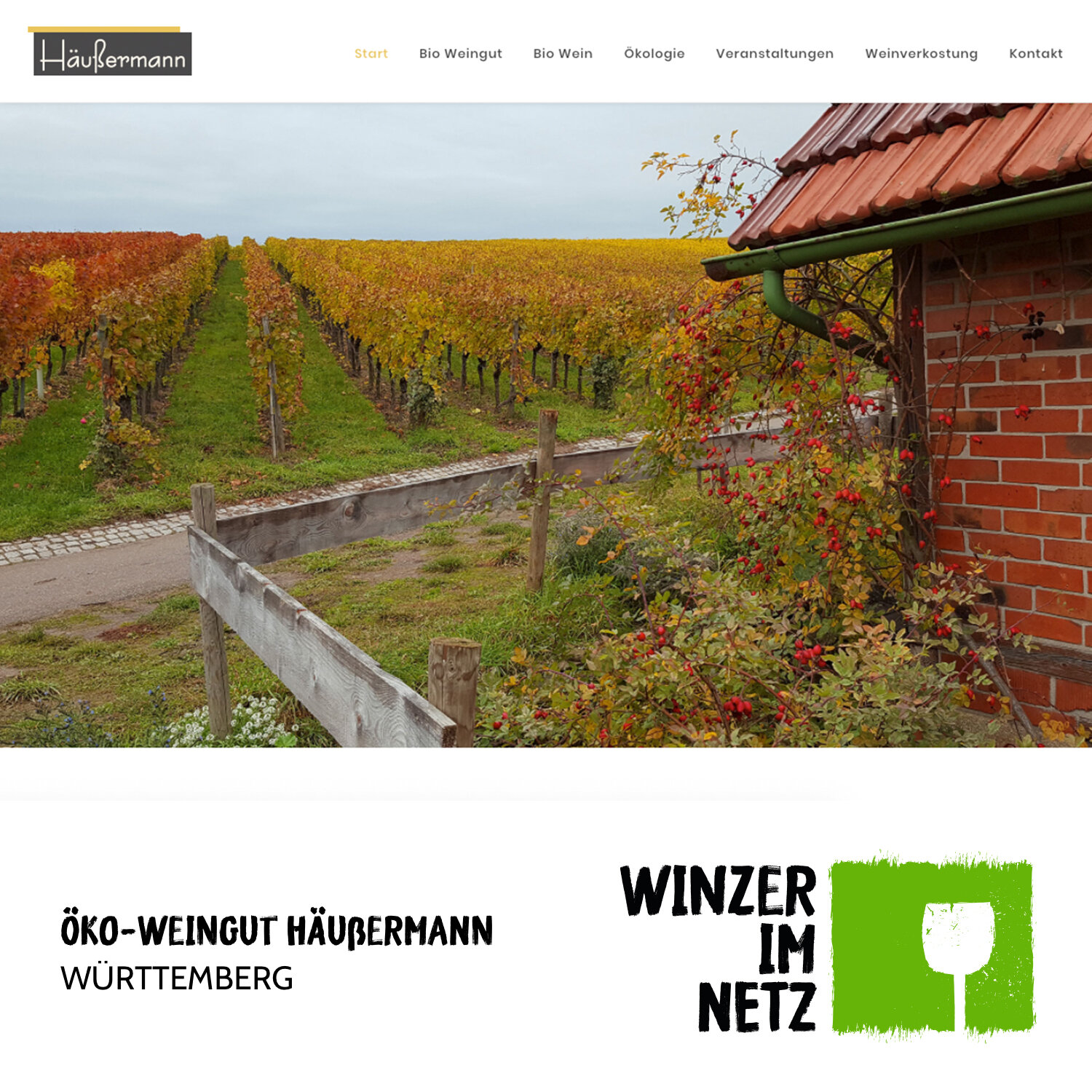 WIN_Social-Media-Haeussermann_Oeko.jpg