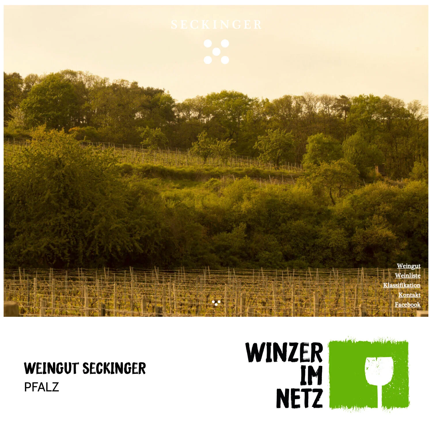WIN_Social-Media-Seckinger.jpg