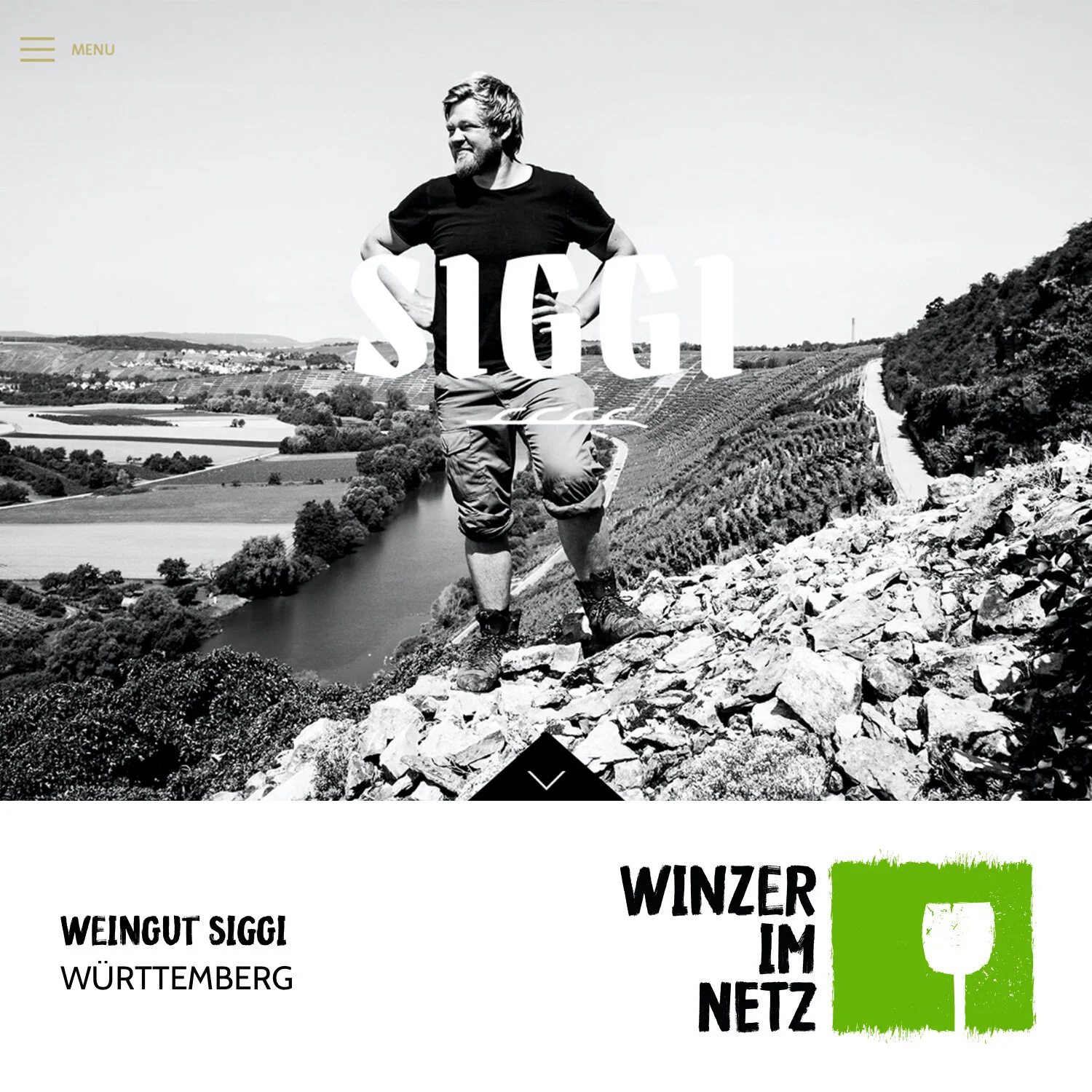 WIN_Social-Media-Siggi.jpg