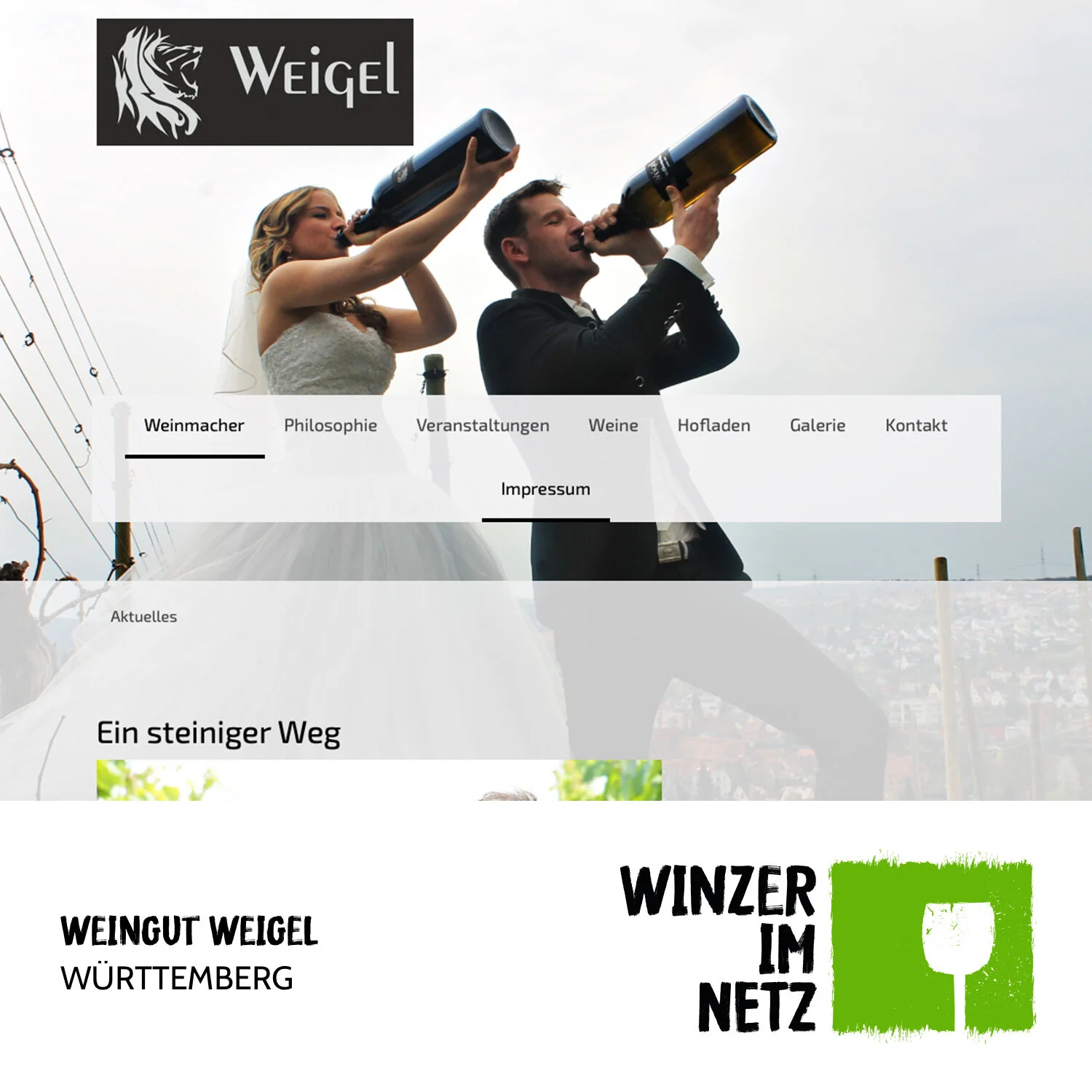 WIN_Social-Media-Weigel.jpg