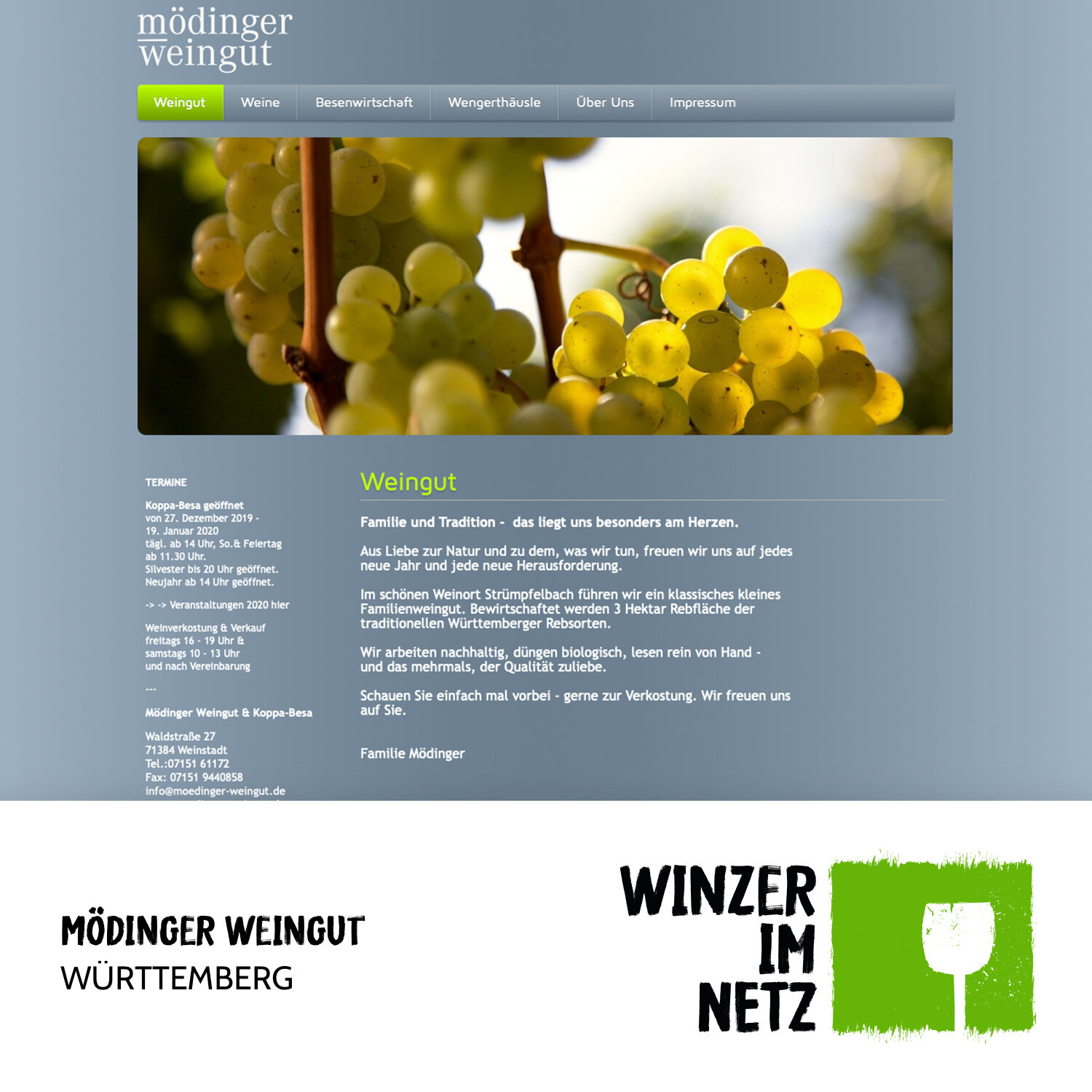 WIN_Social-Media-Moedinger.jpg