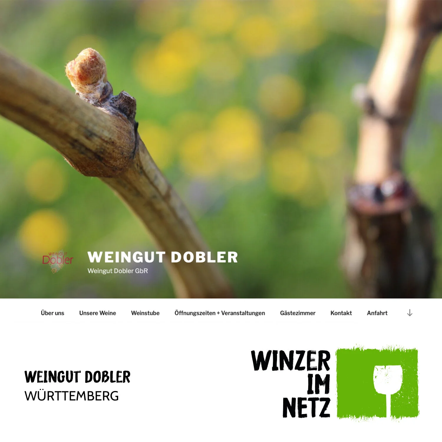 WIN_Social-Media-Dobler.jpg