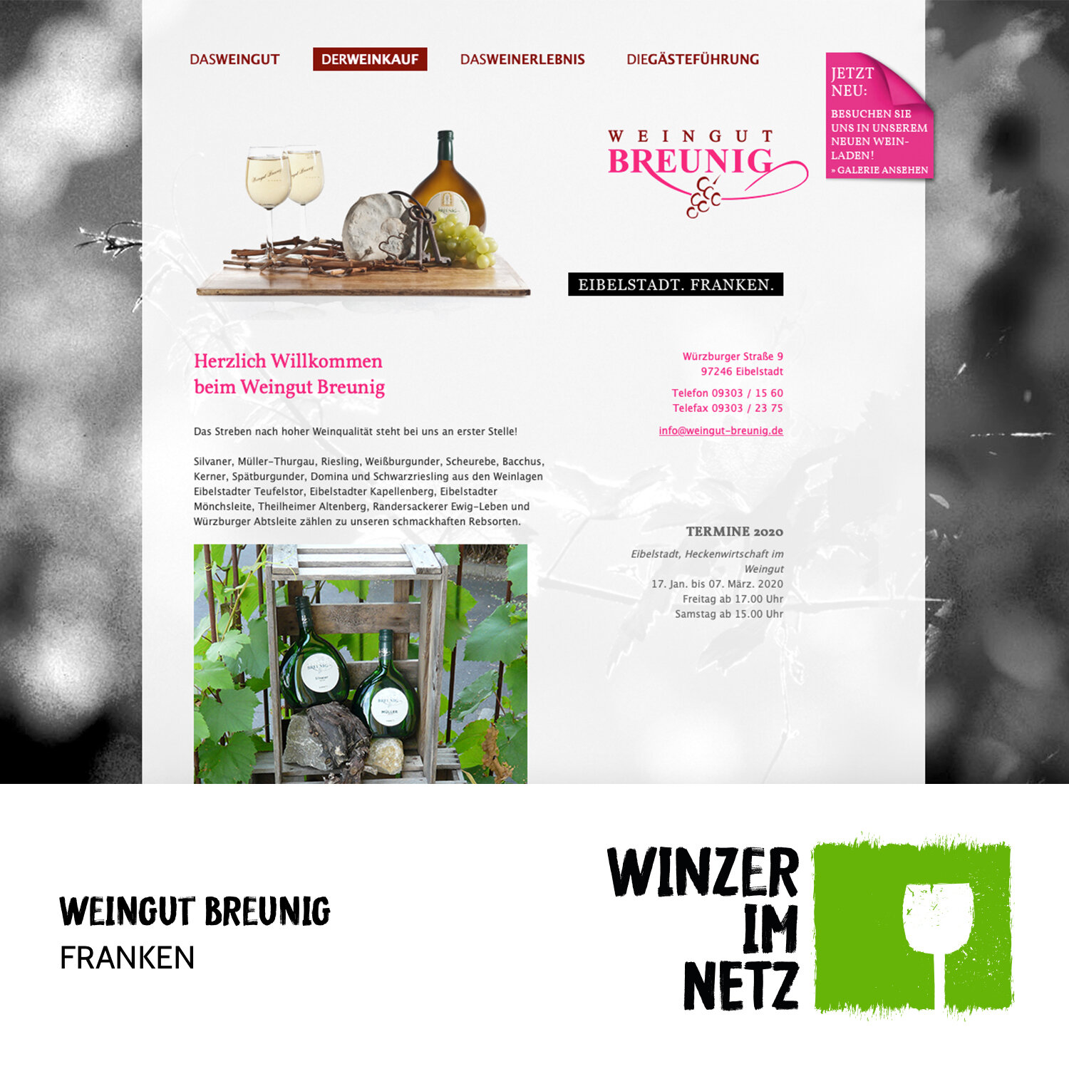 WIN_Social-Media-Breunig.jpg