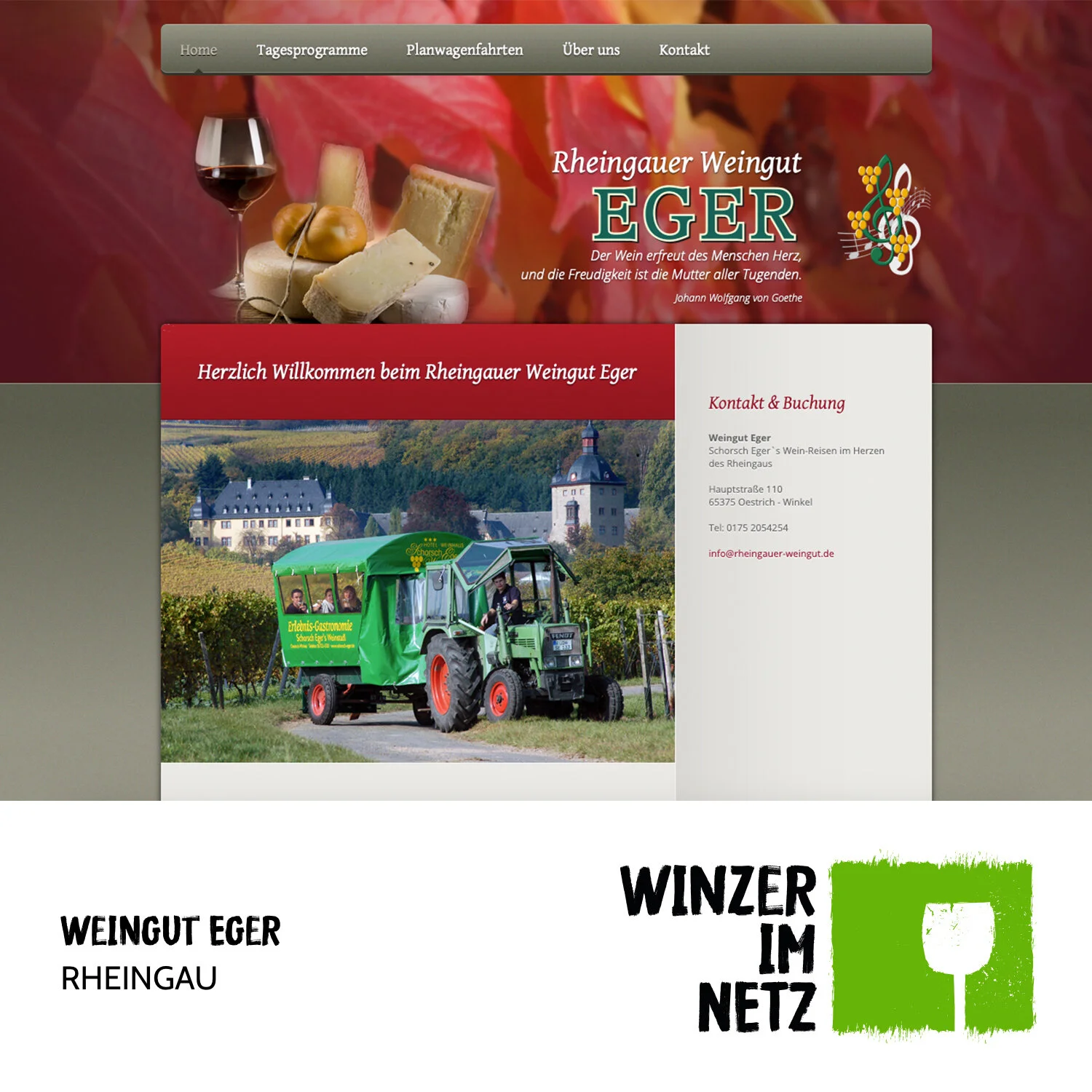 WIN_Social-Media-Eger.jpg