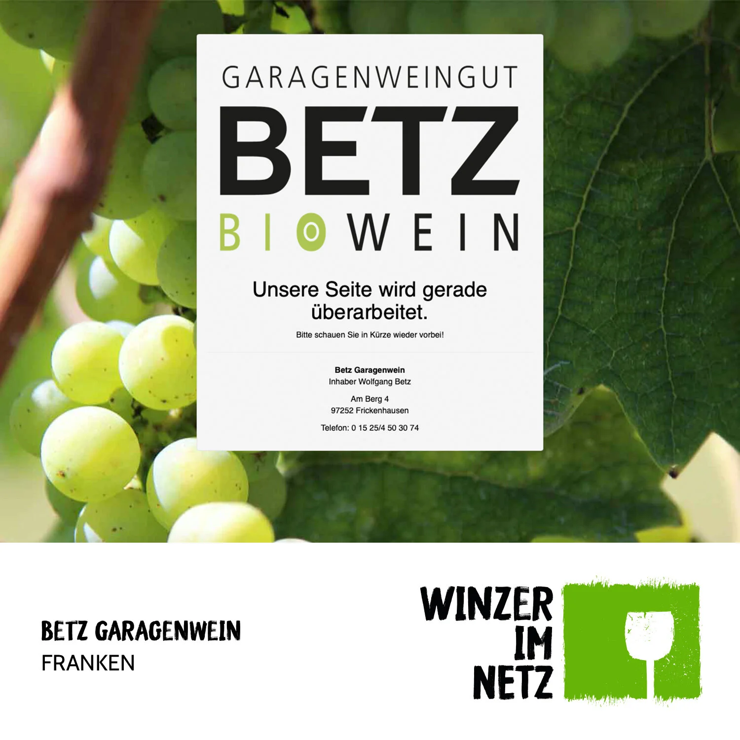 WIN_Social-Media-Betz.jpg