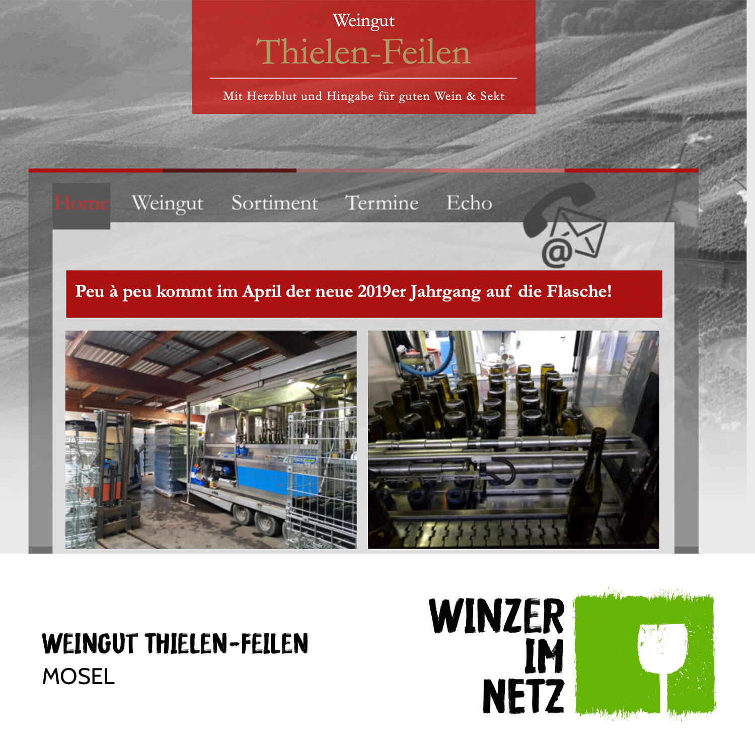 Weingut Thielen-Feilen