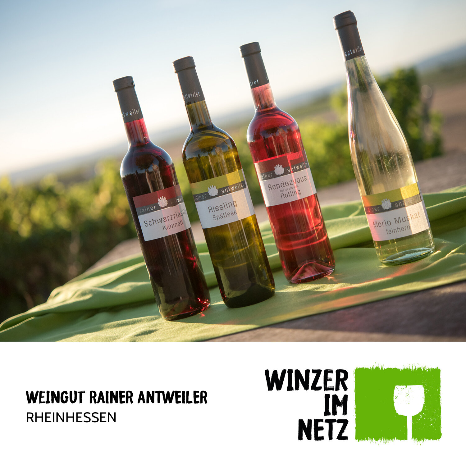 WIN_Social-Media-Template_Wein.jpg