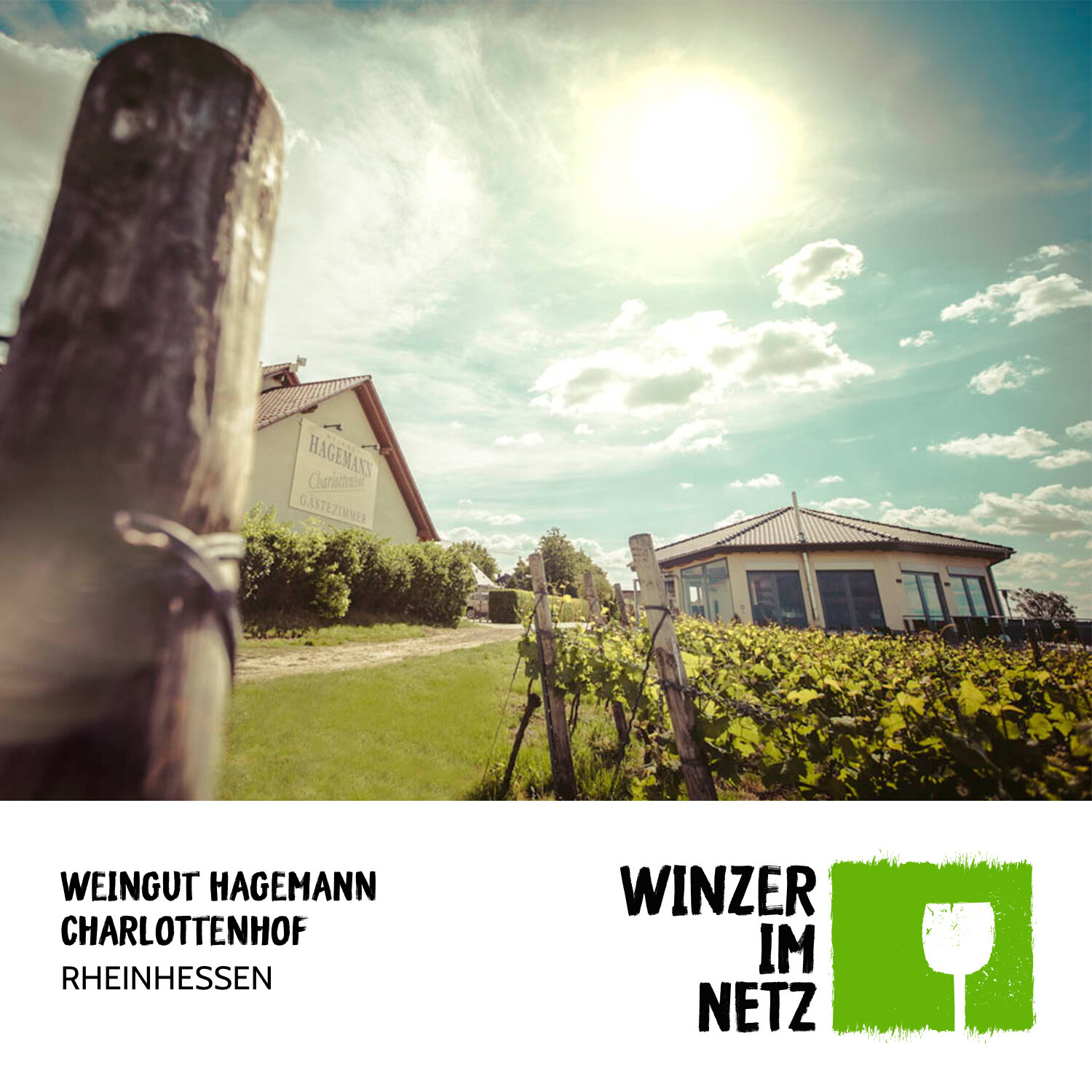 WIN_Social-Media-Hagemann2.jpg