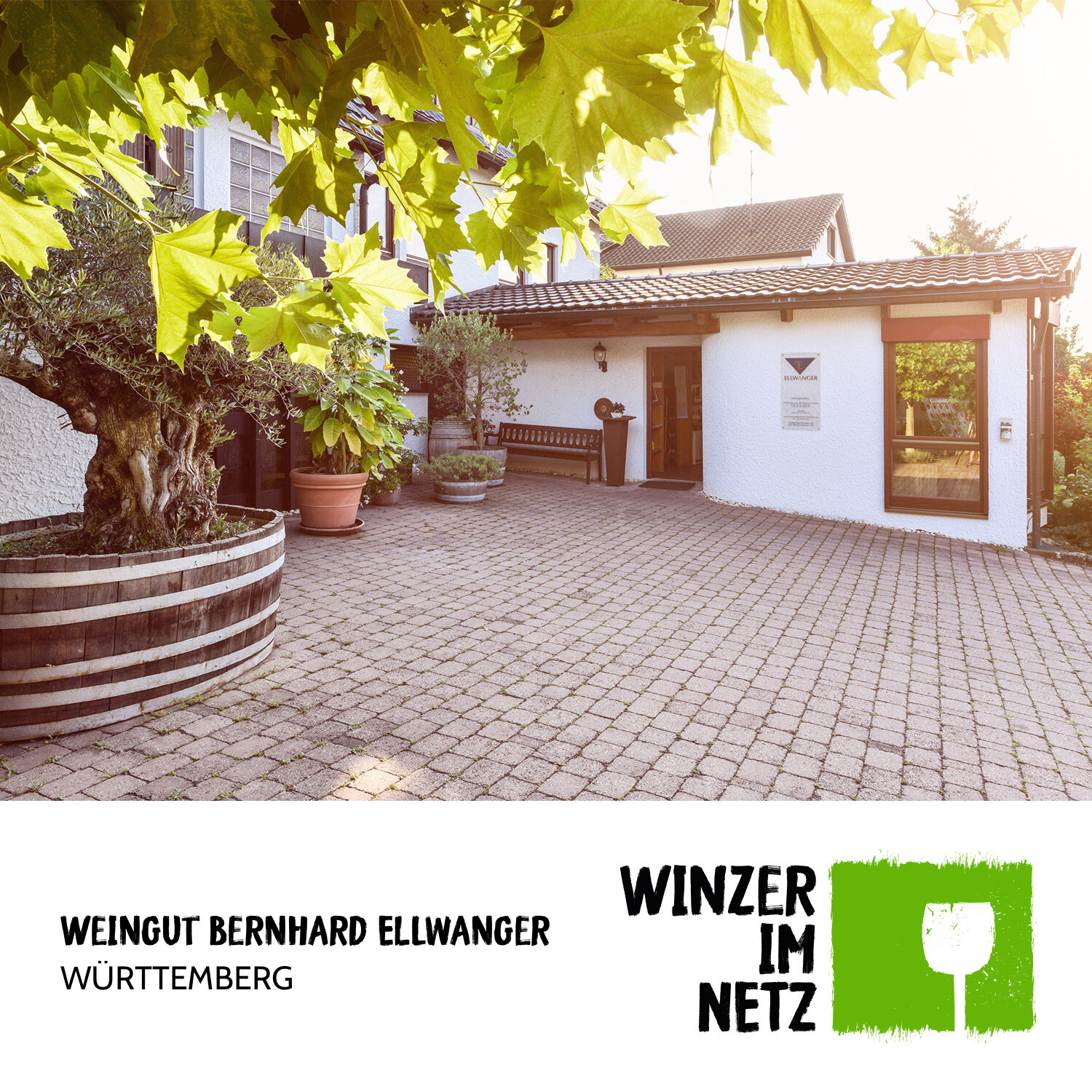 WIN_Social-Media-Bernhard-Ellwanger6.jpg