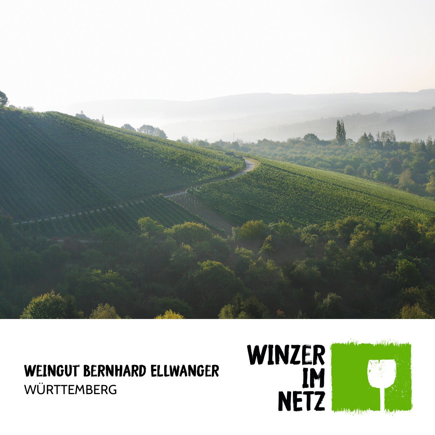 WIN_Social-Media-Bernhard-Ellwanger11.jpg