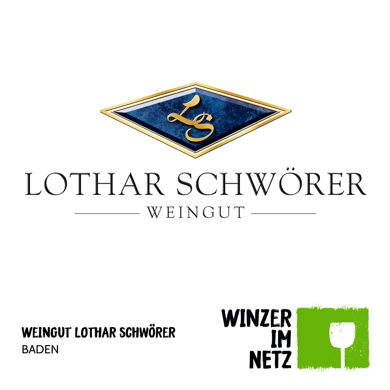 WIN_Social-Media-Lothar-Schwoerer2.jpg