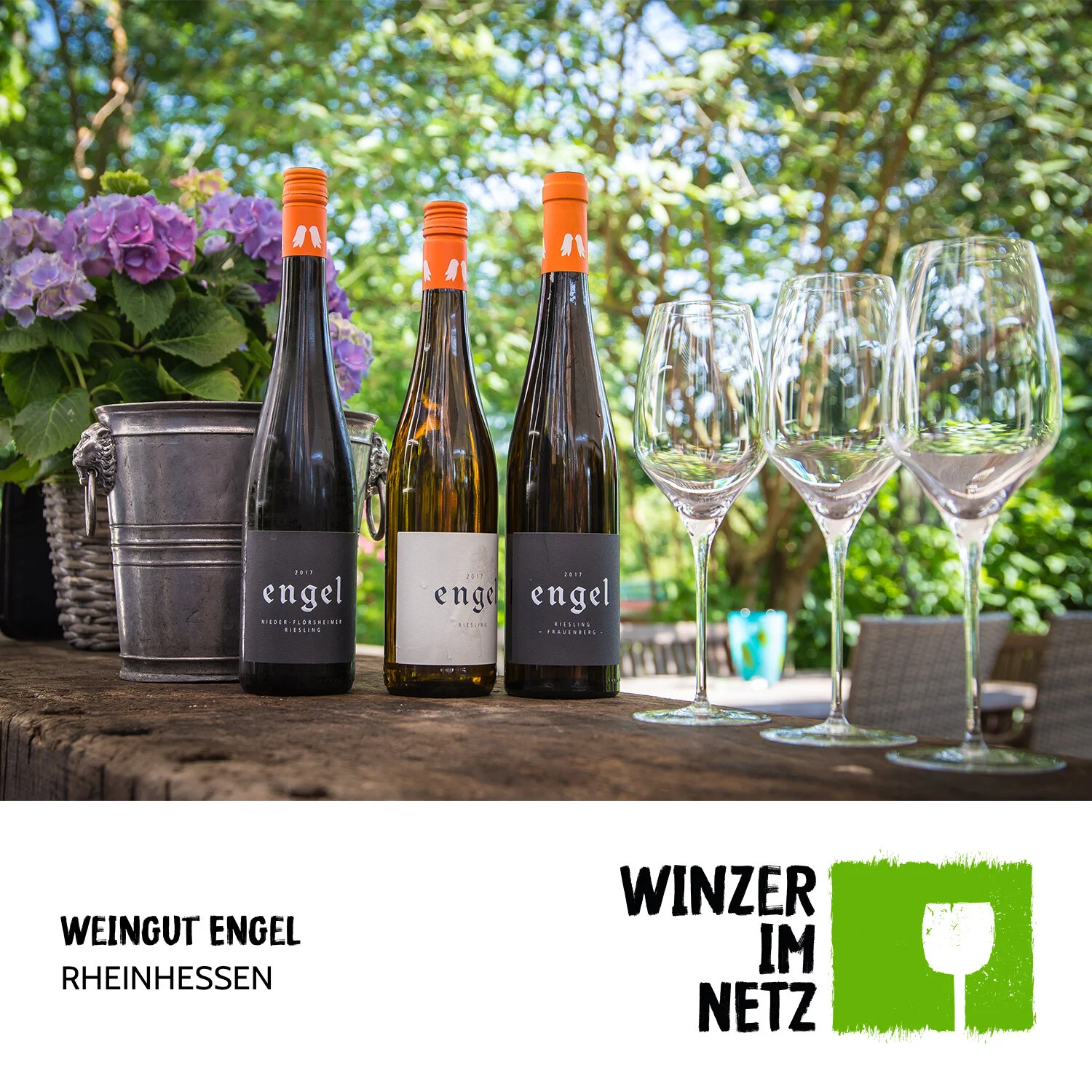 WIN_Social-Media-Engel3.jpg