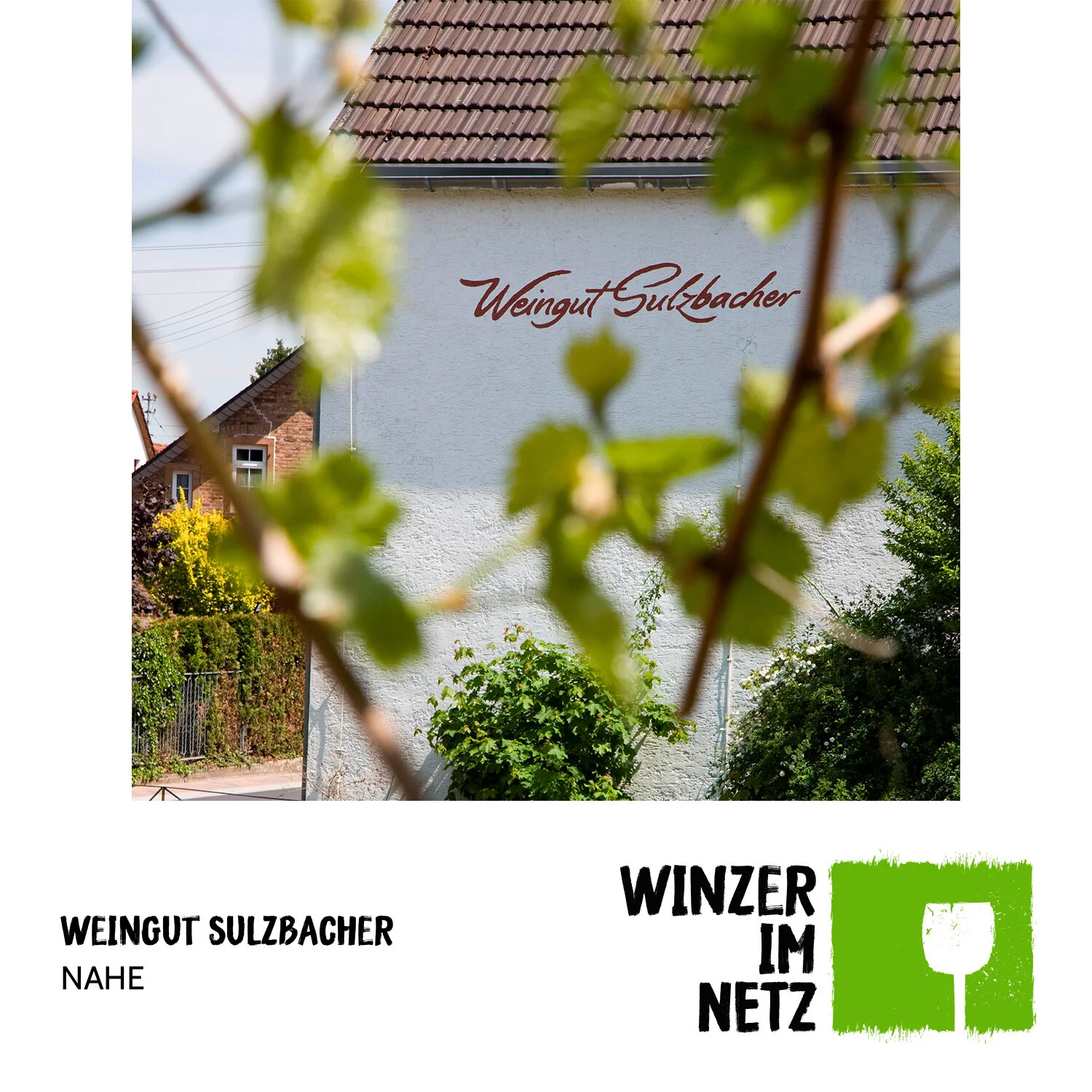 WIN_Social-Media-Sulzbacher3.jpg