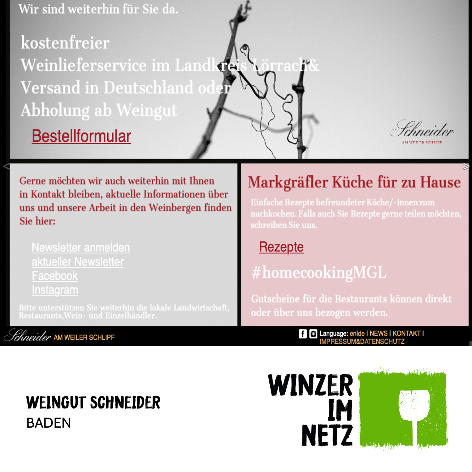 WIN_Social-Media-Schneider.jpg