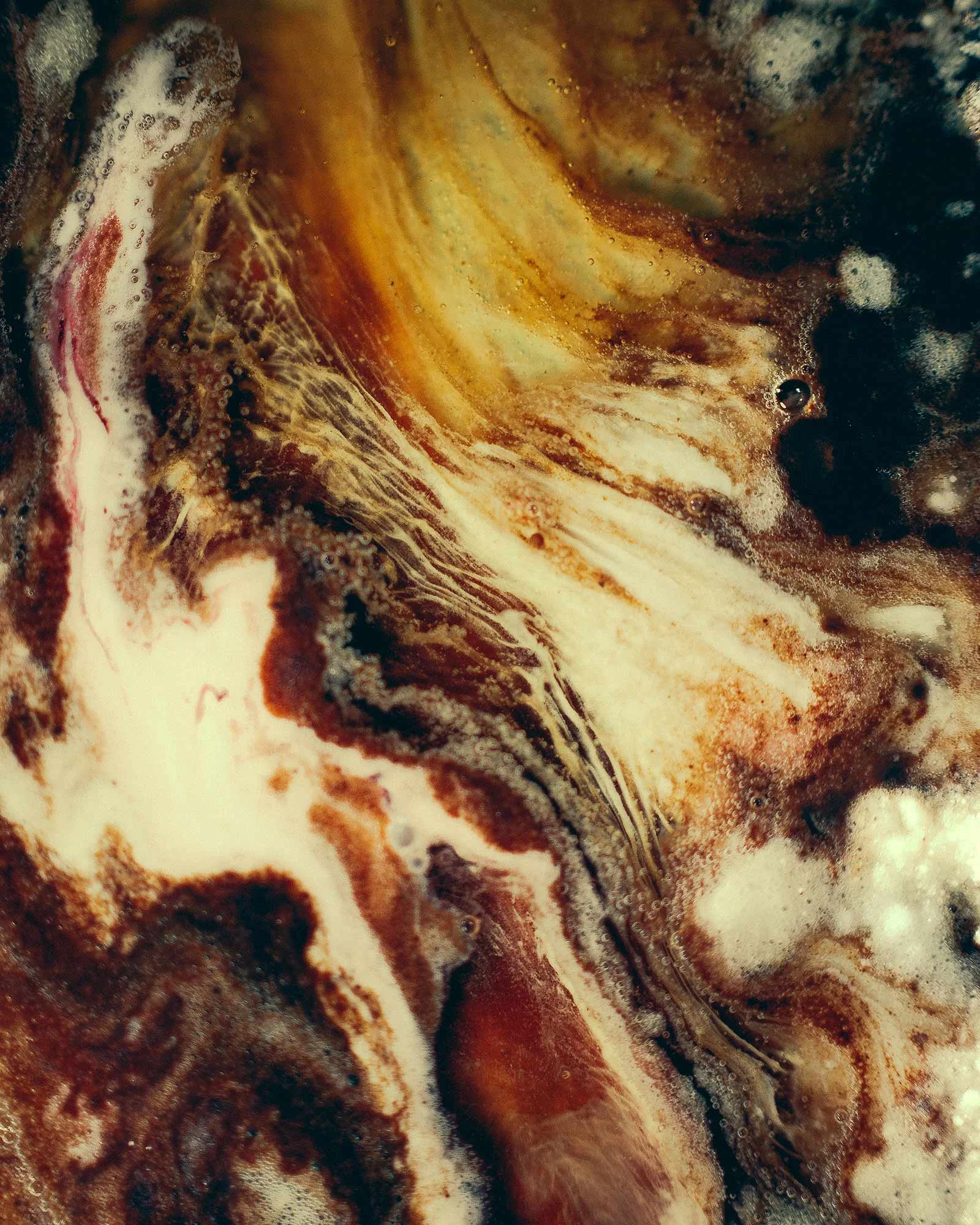 pathogenia-7-by-studio-pale-grain.jpg