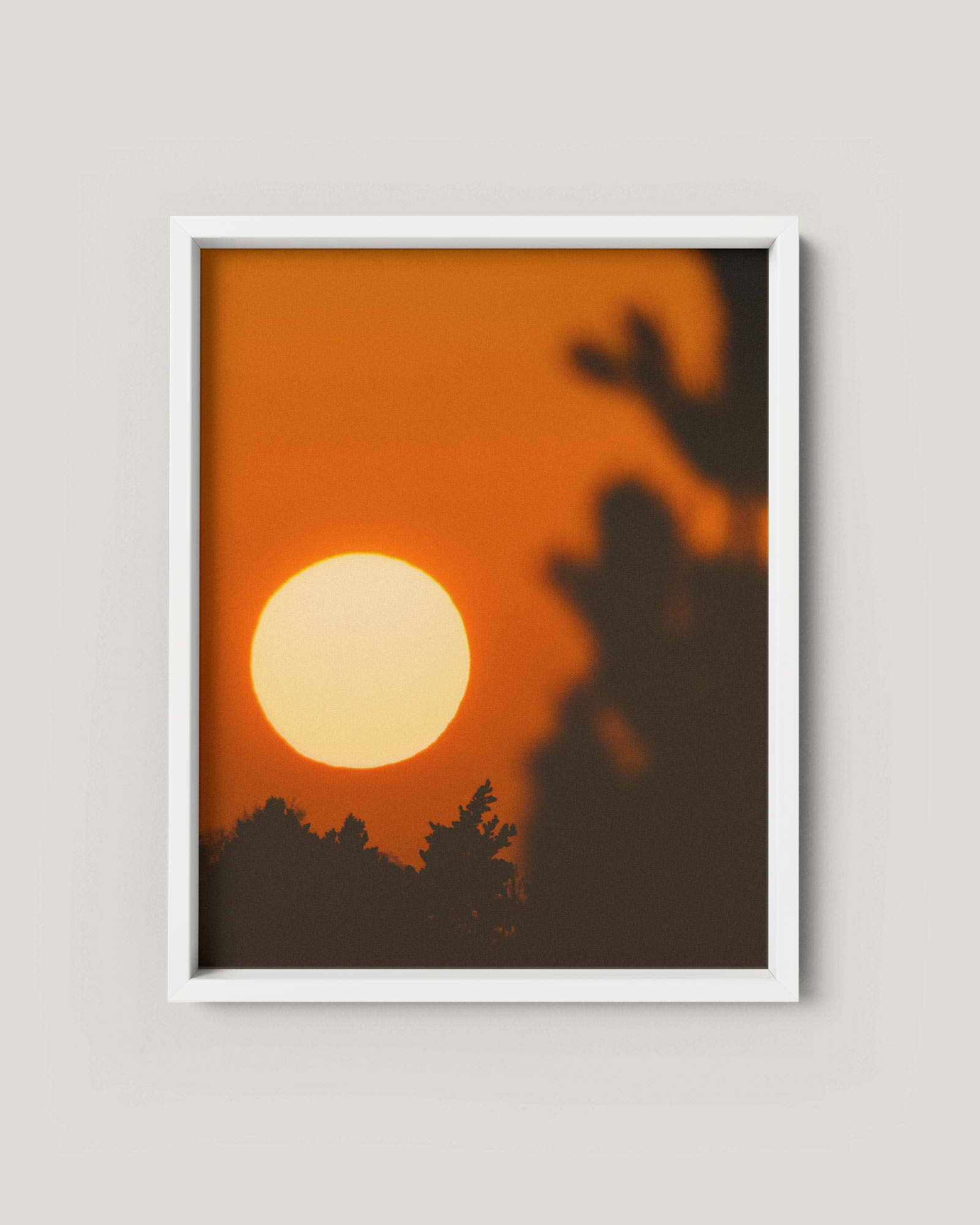 sunset-pp-by-studio-pale-grain.jpg