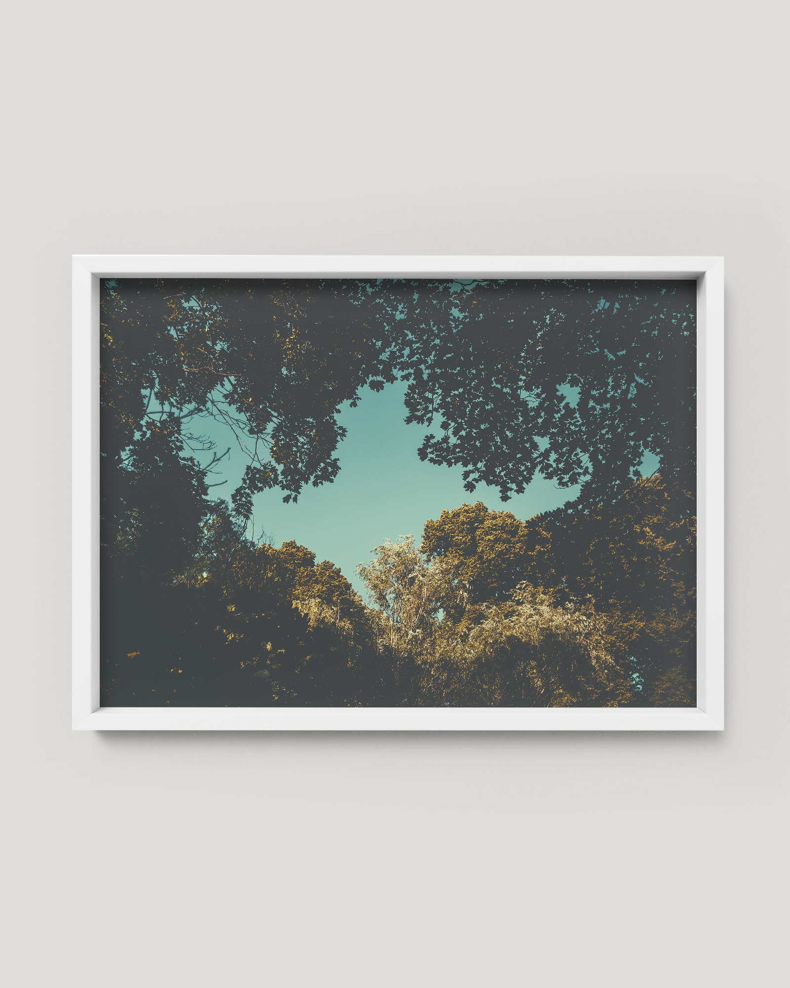 the-window-pp-by-studio-pale-grain.jpg