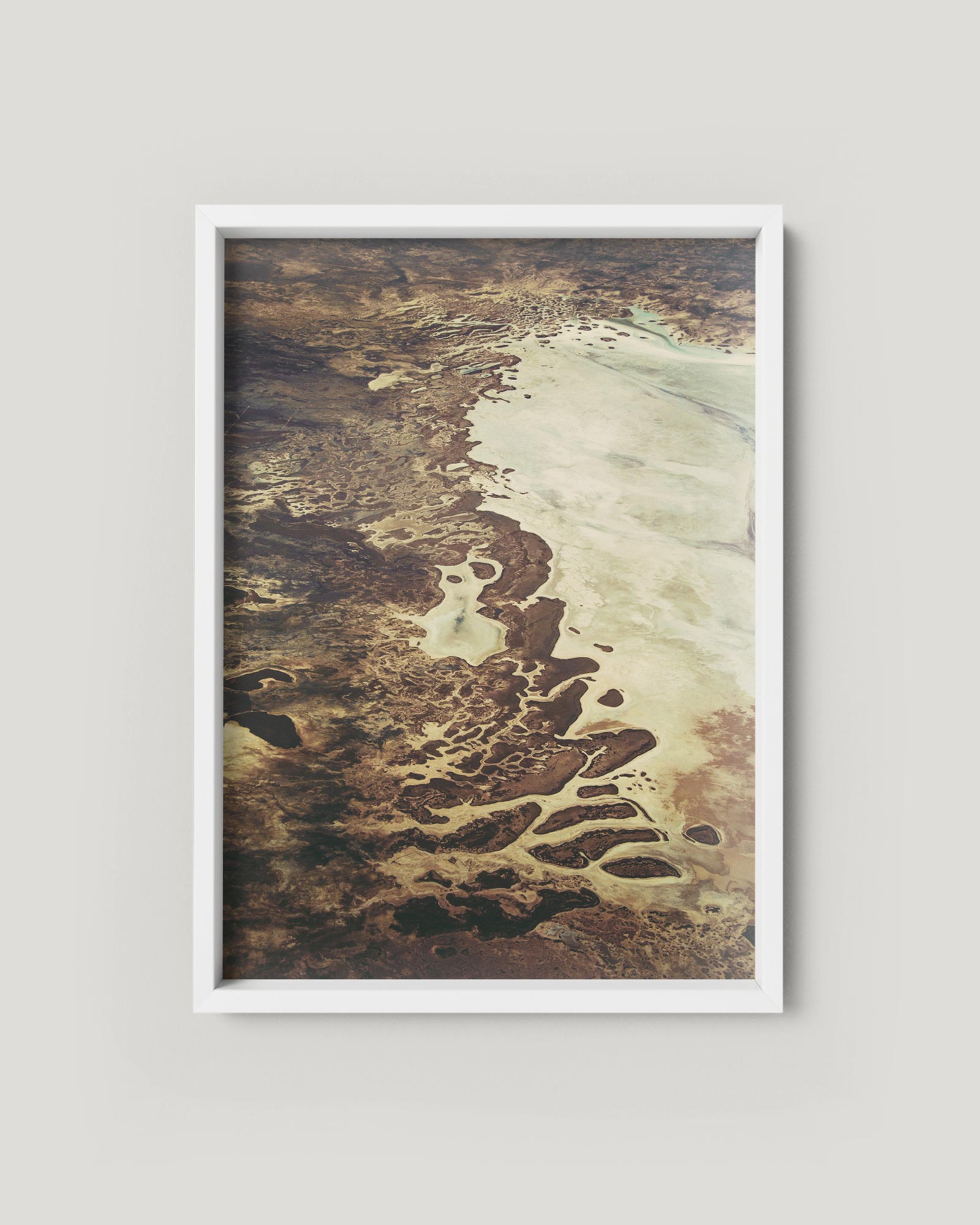 the-acne-pp-by-studio-pale-grain.jpg