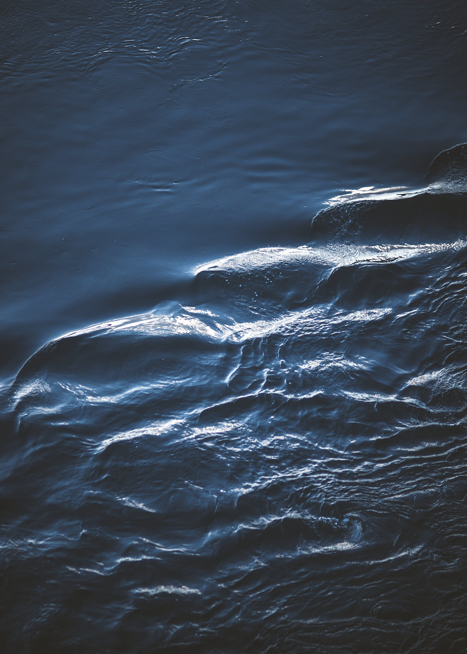 the-curvature-by-studio-pale-grain.jpg