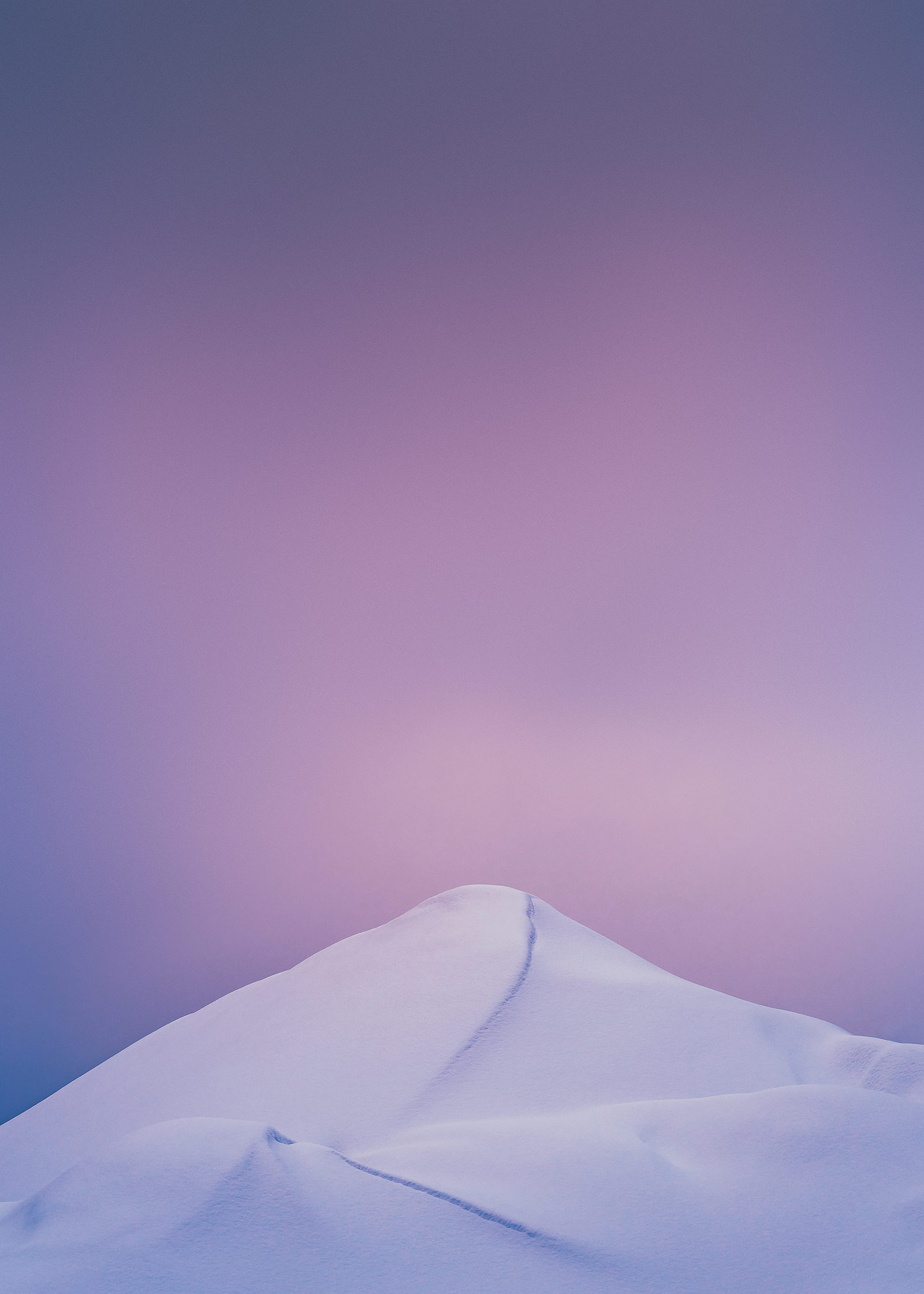 the-path-by-studio-pale-grain.jpg