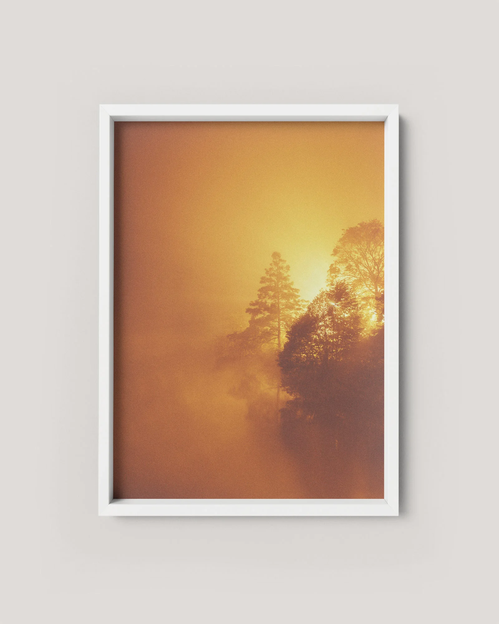 the-dim-pp-by-studio-pale-grain.jpg