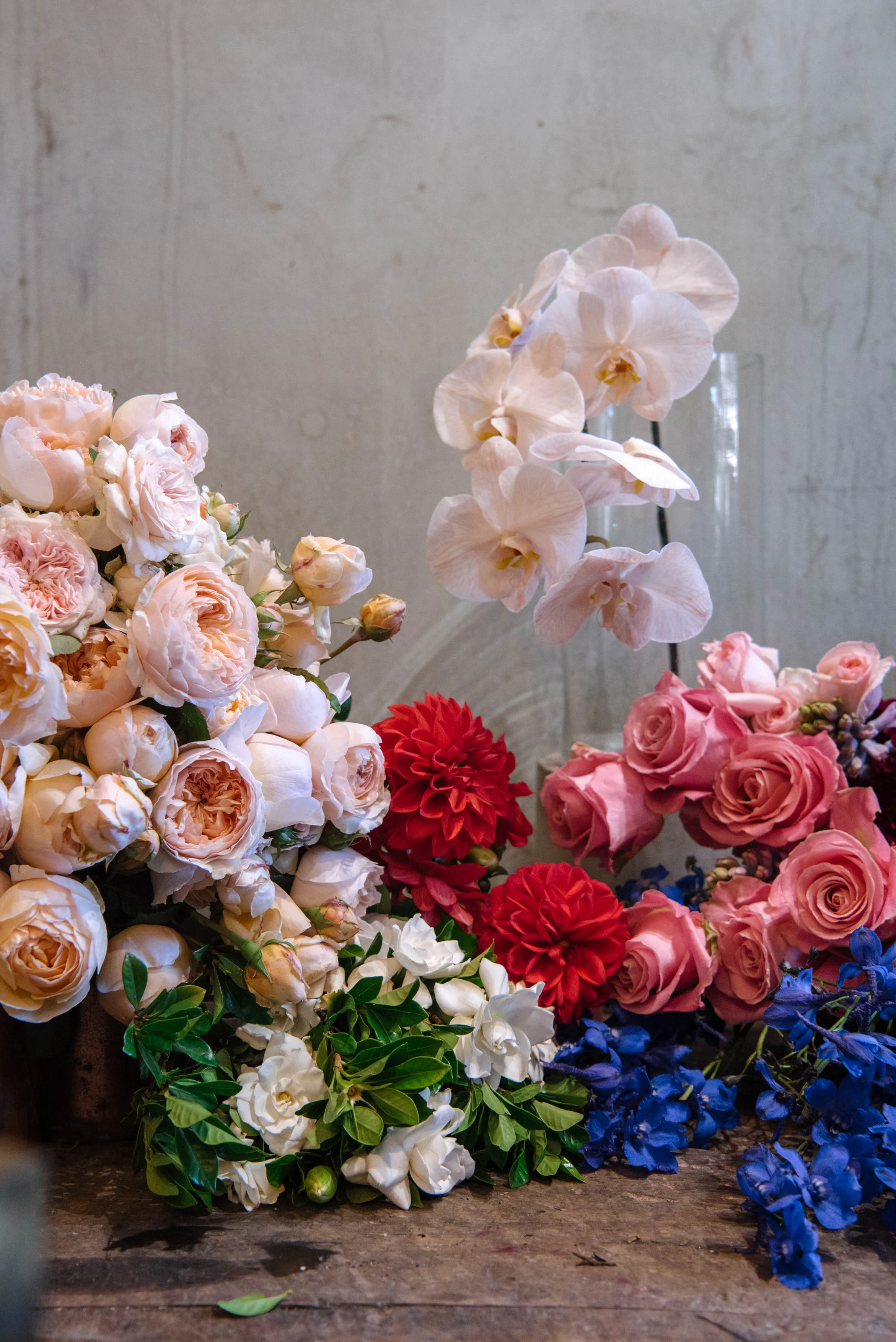 Grandiflora (HR) for May 2019 Cover-17.jpg