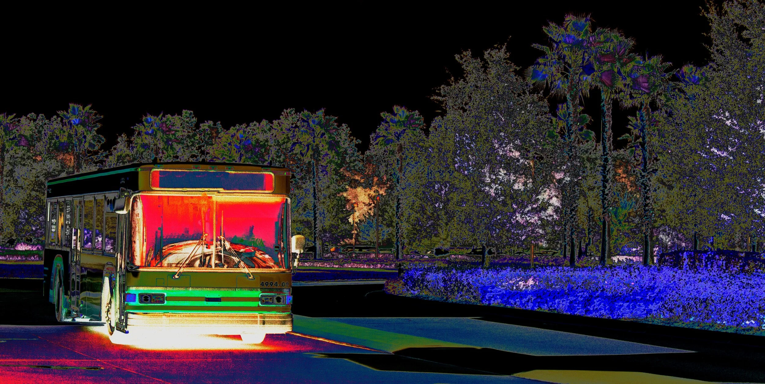 Bus by James Reid