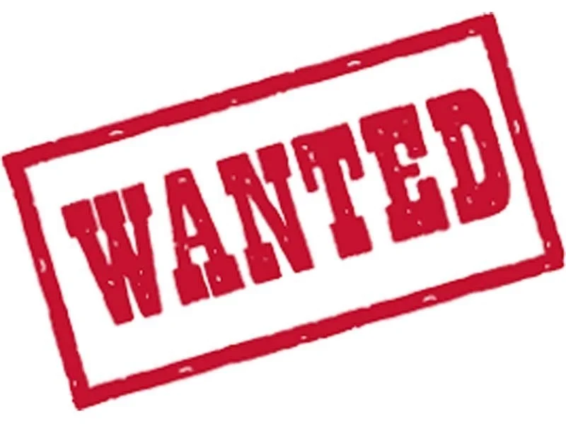 Wanted.png