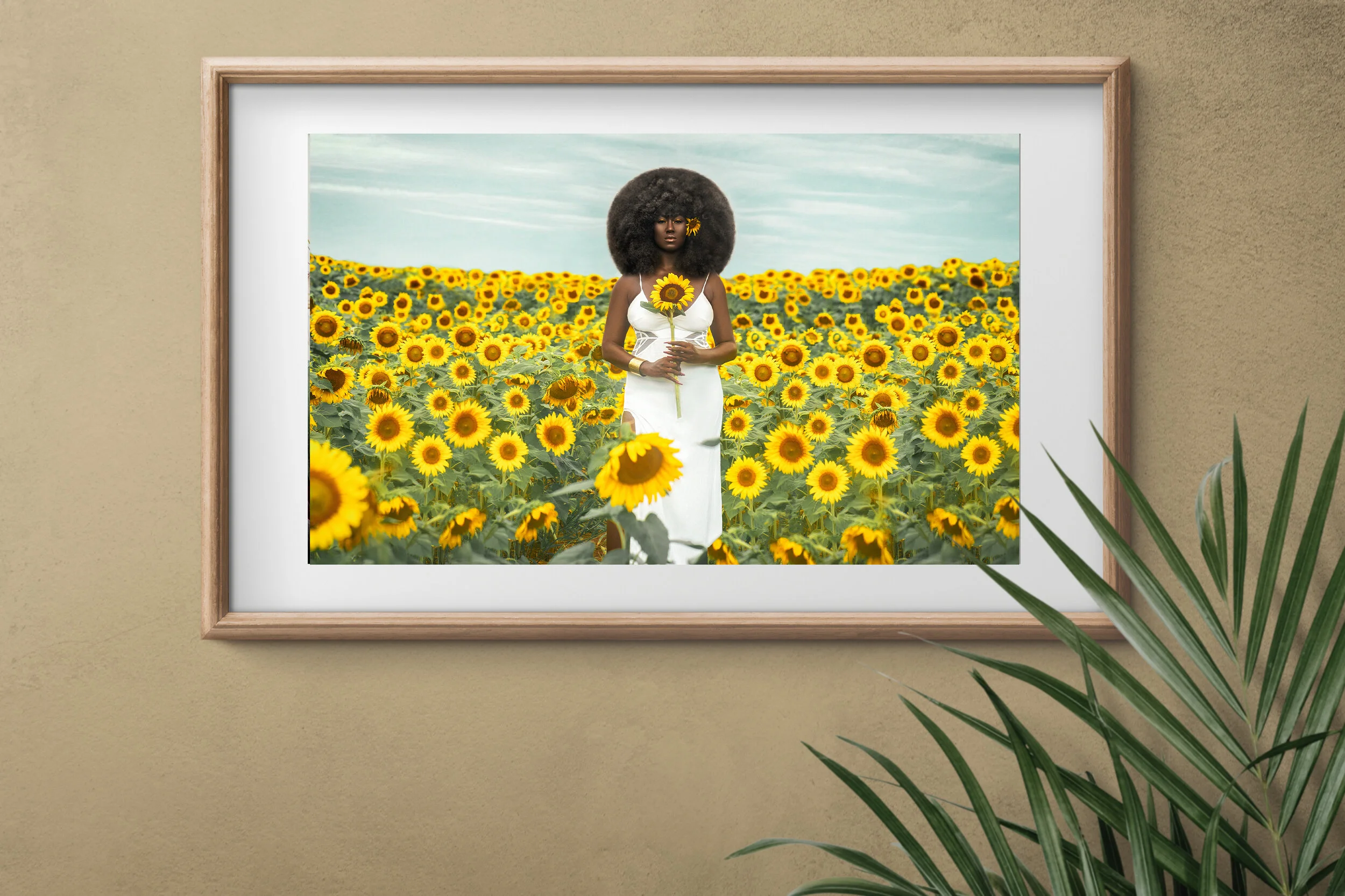 synoncsunflower_mockup1.jpg