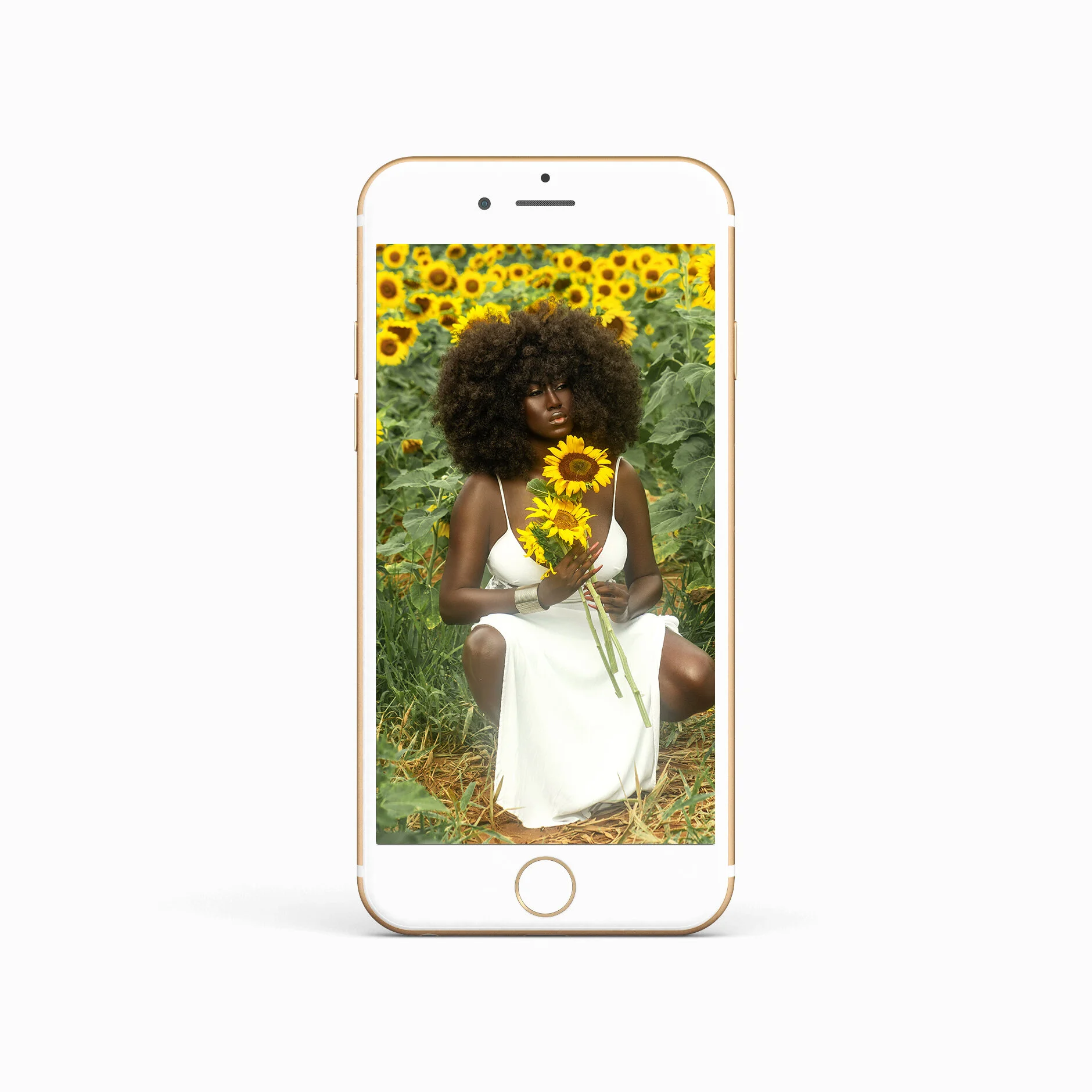 symonesunflower_iphone3.jpg