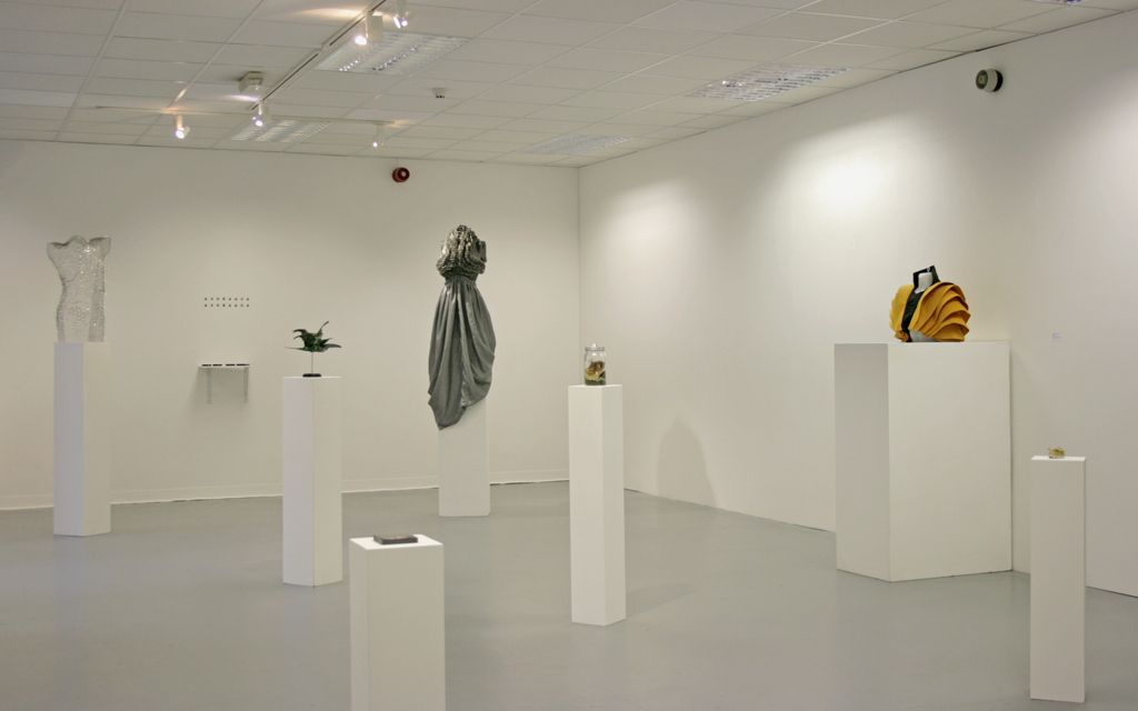 ‘Exposing Form’, 2017, installation view